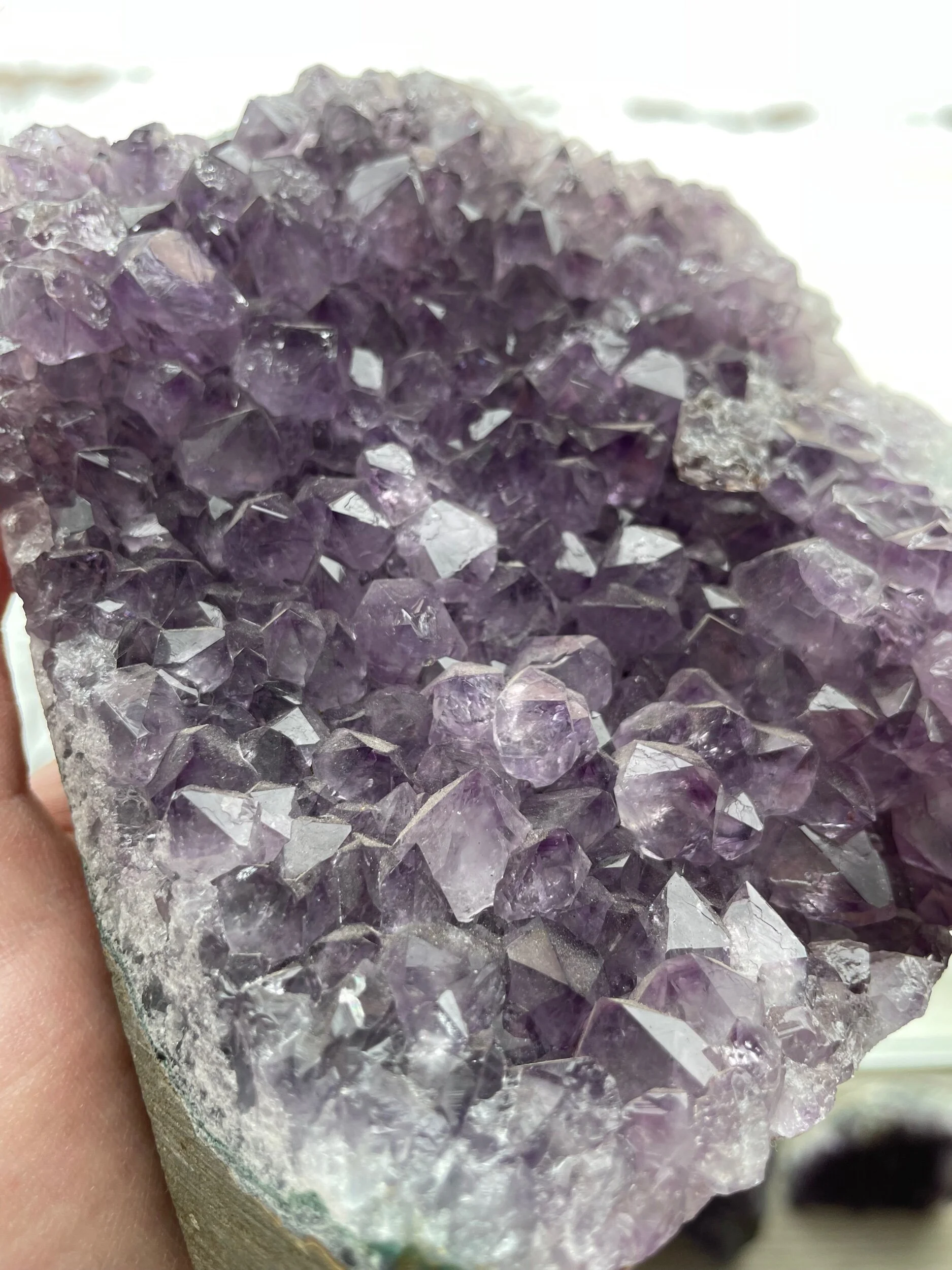 EF5A24F0-8B22-4E7D-99B5-C51CEB67B86E