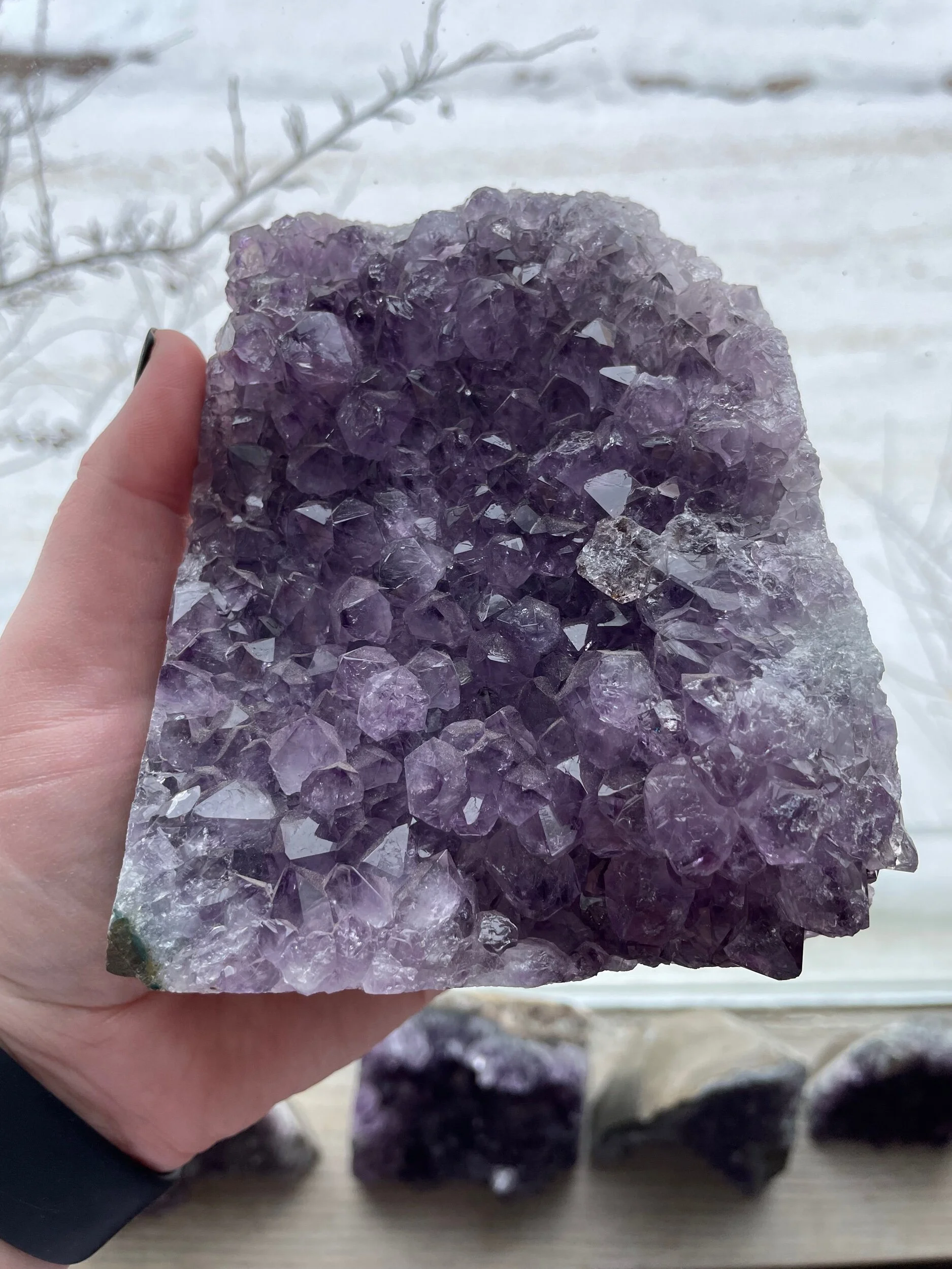 2D3DCF9E-65A6-4115-82AE-EC03A7B406EC