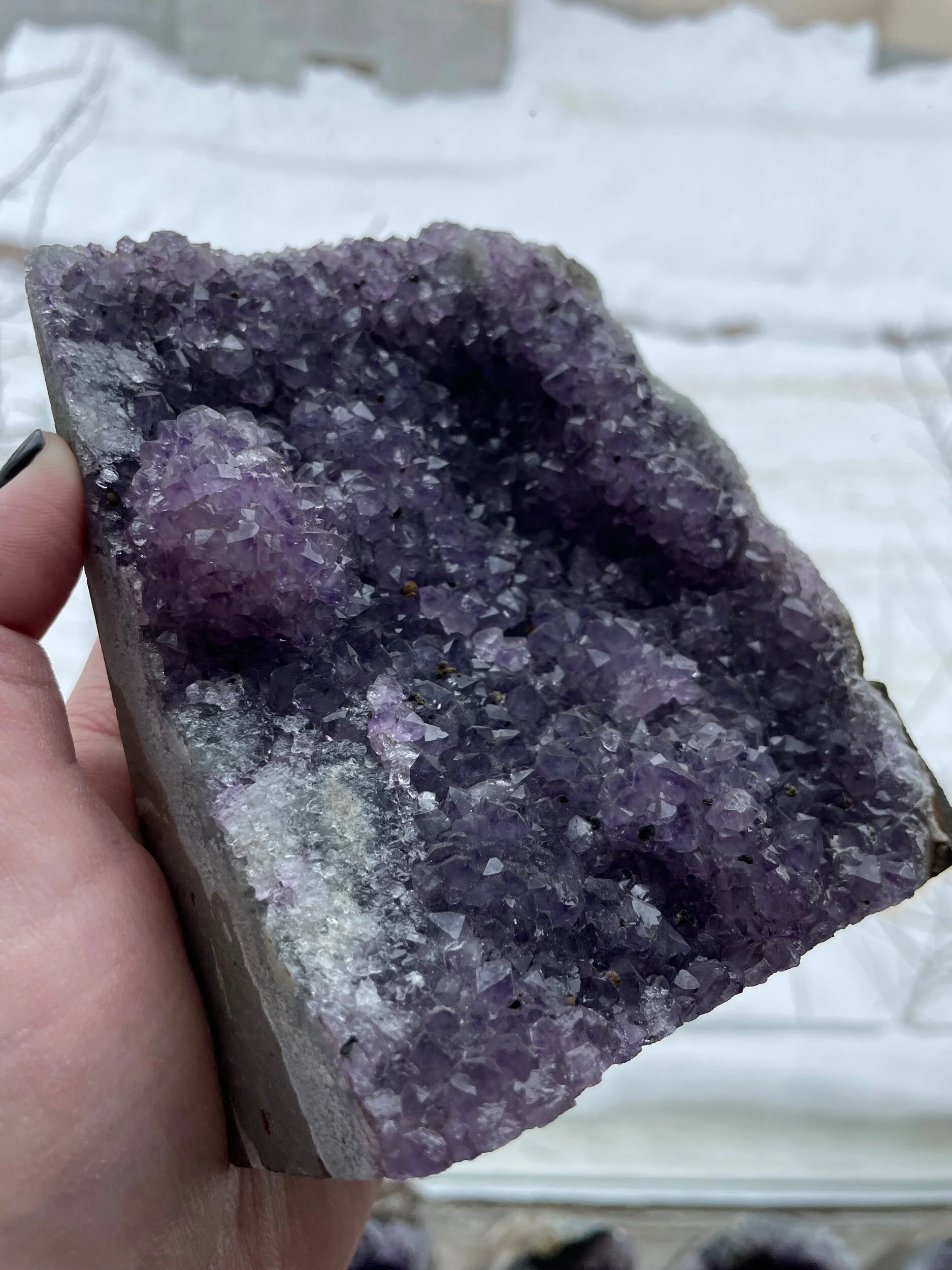 509138FC-C7B9-4636-9C98-06D226F58110