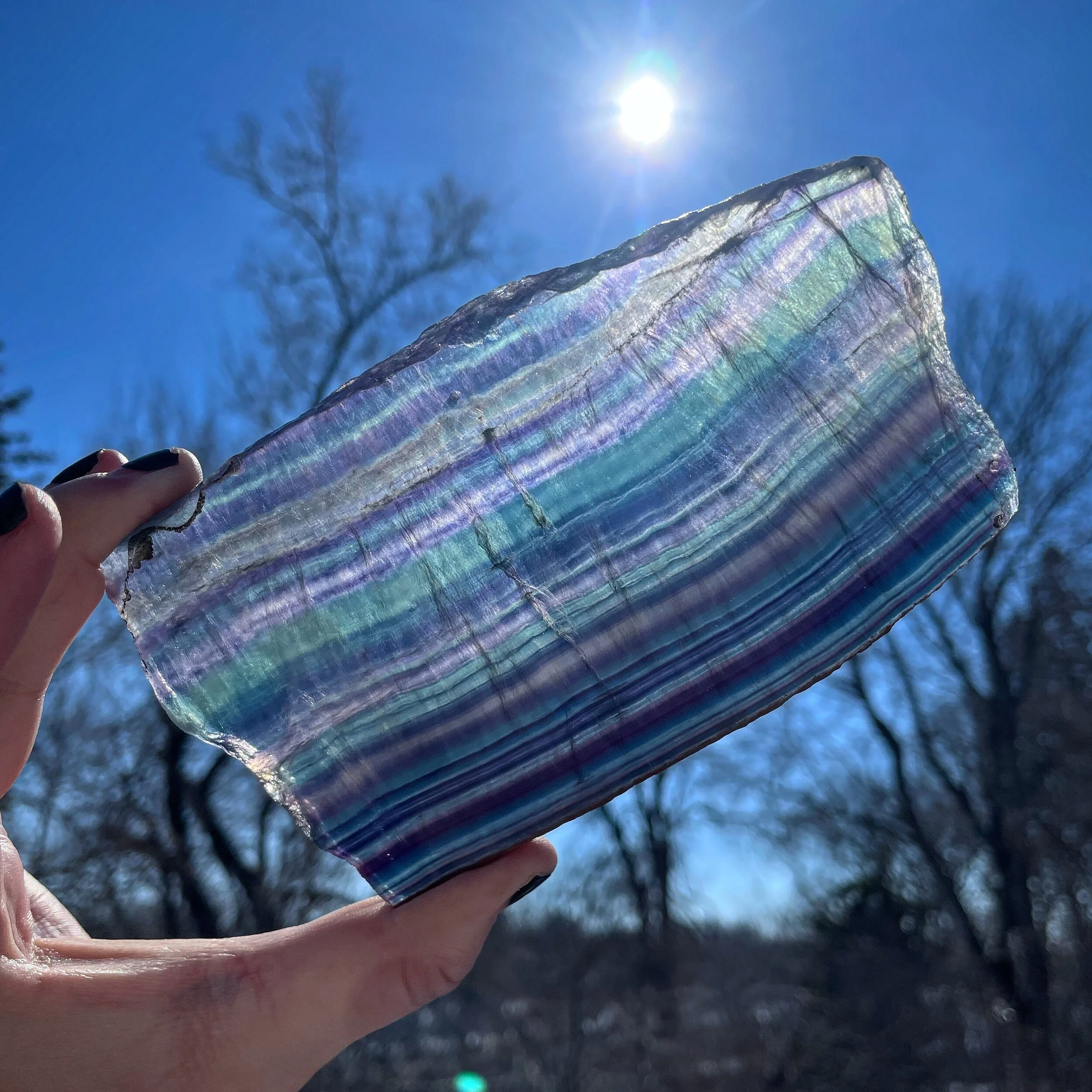 2F15E676-3D3F-4004-8D8E-AF4C28592392