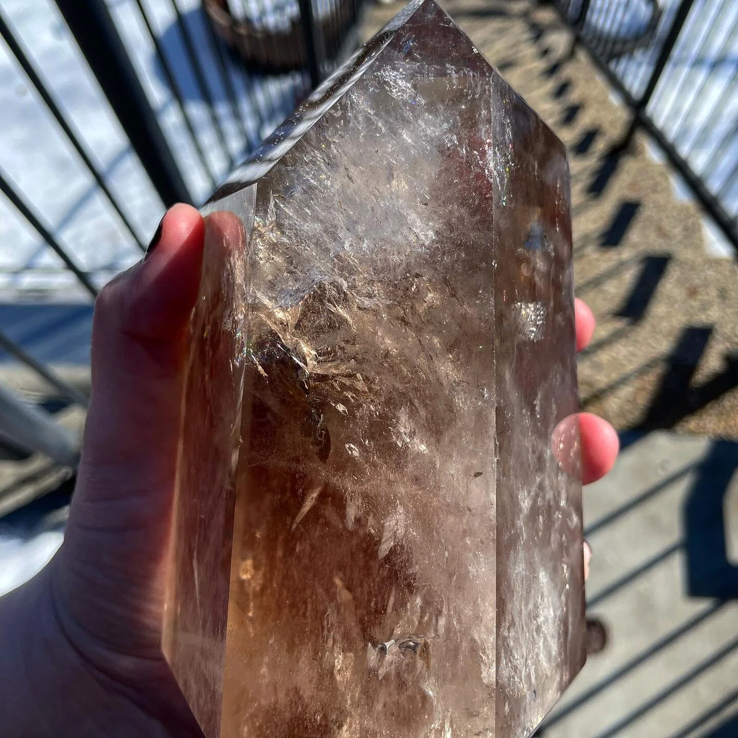 6E6D43CC-978A-4821-89B3-C0F10EBB96D2