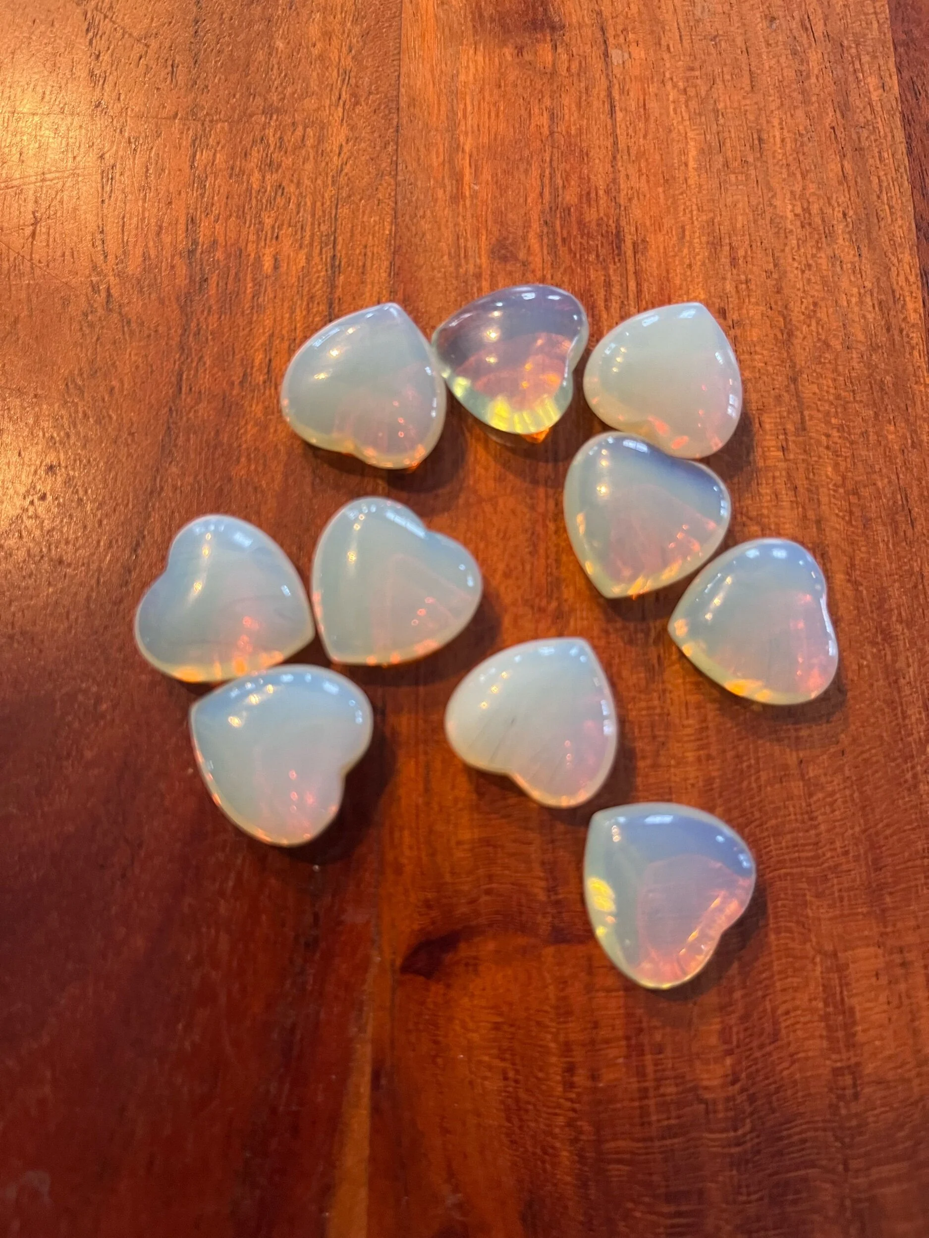 1F0B4B78-F924-41CE-A220-49D32DFE0CA1