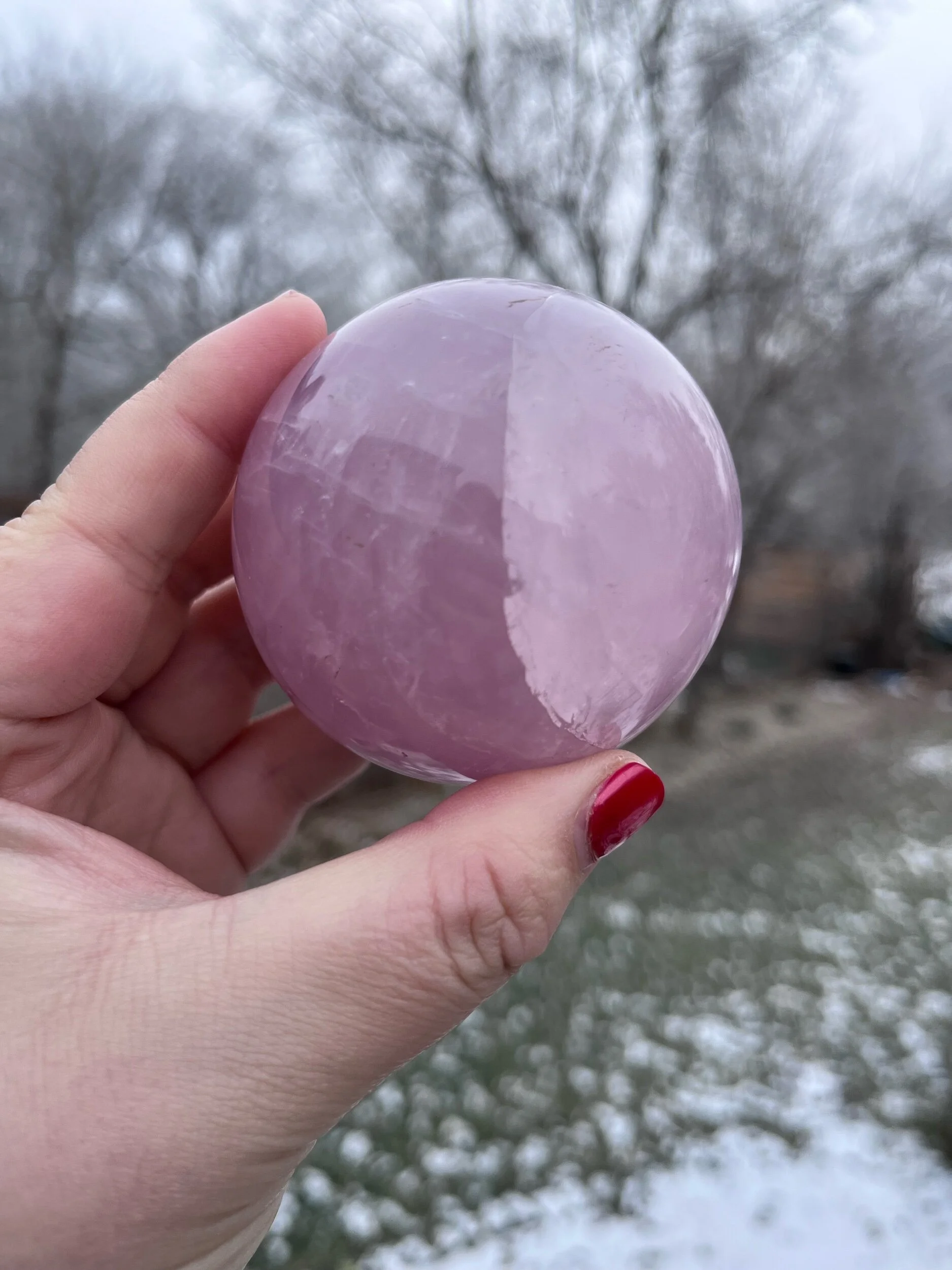 08BBED80-850F-4A8B-92A6-E61C4B1E2A4A