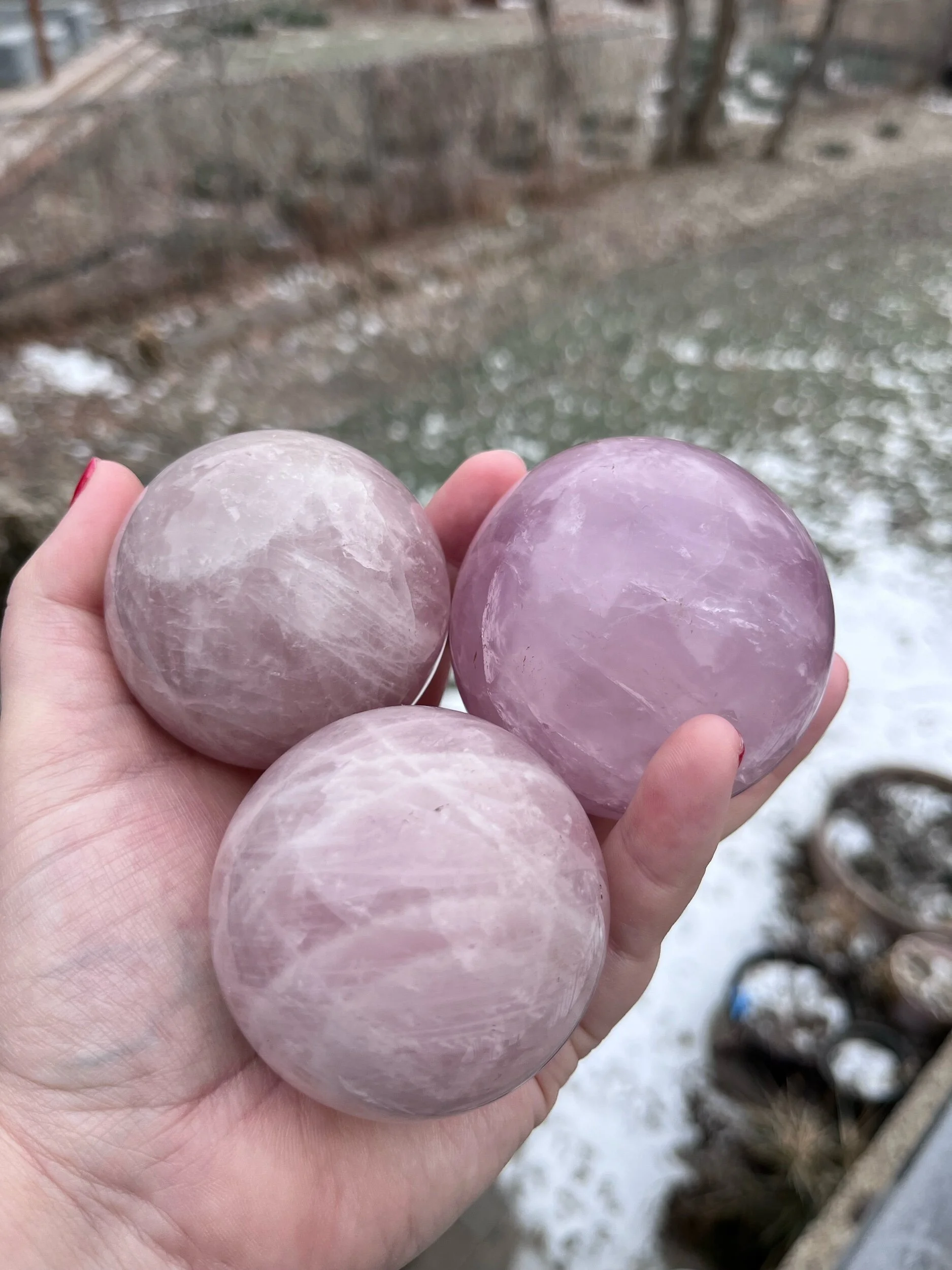 AD1BB859-F7D8-4C76-9173-D95FB111950D