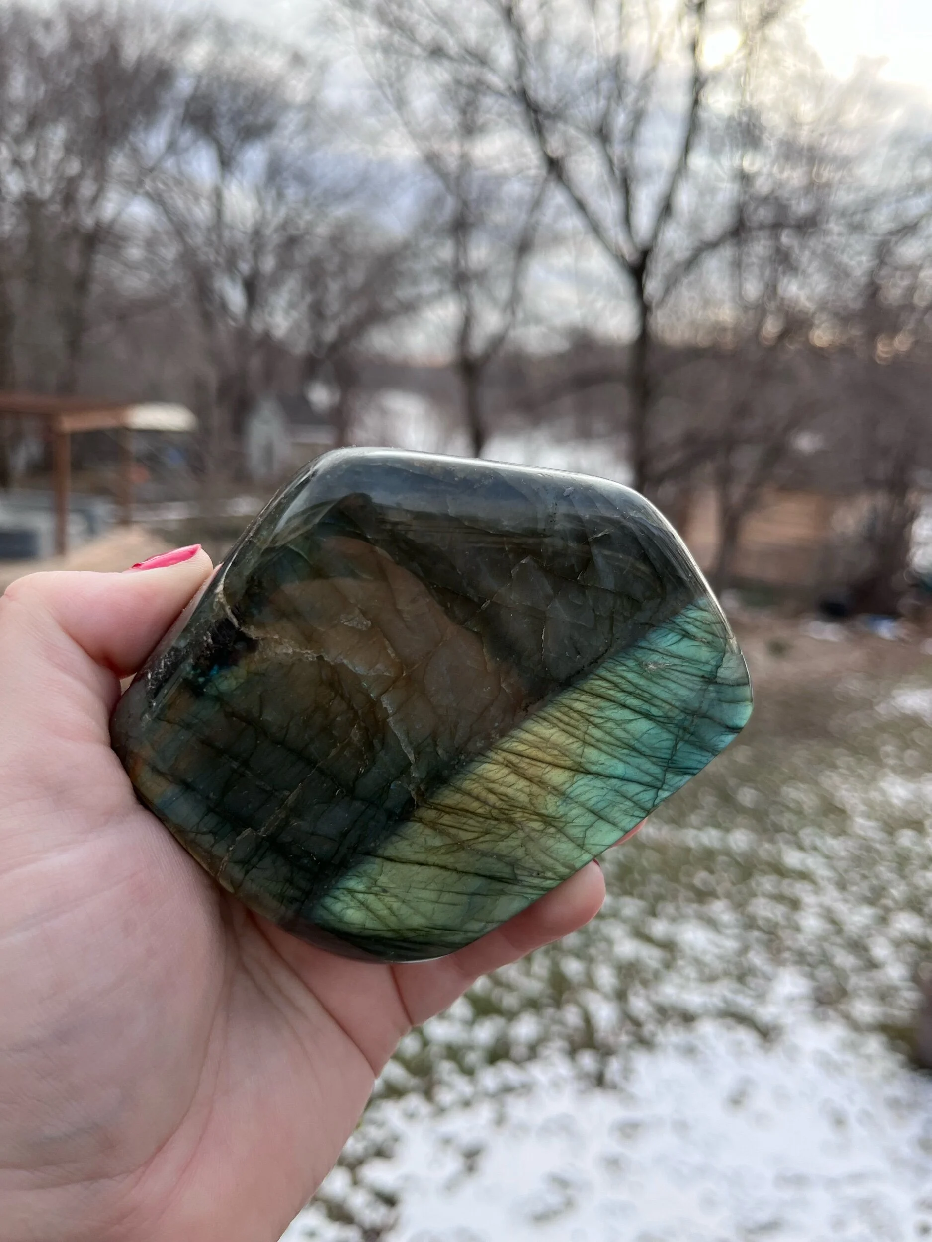 93E791F1-414D-4630-AA9F-7BC021B82CEA