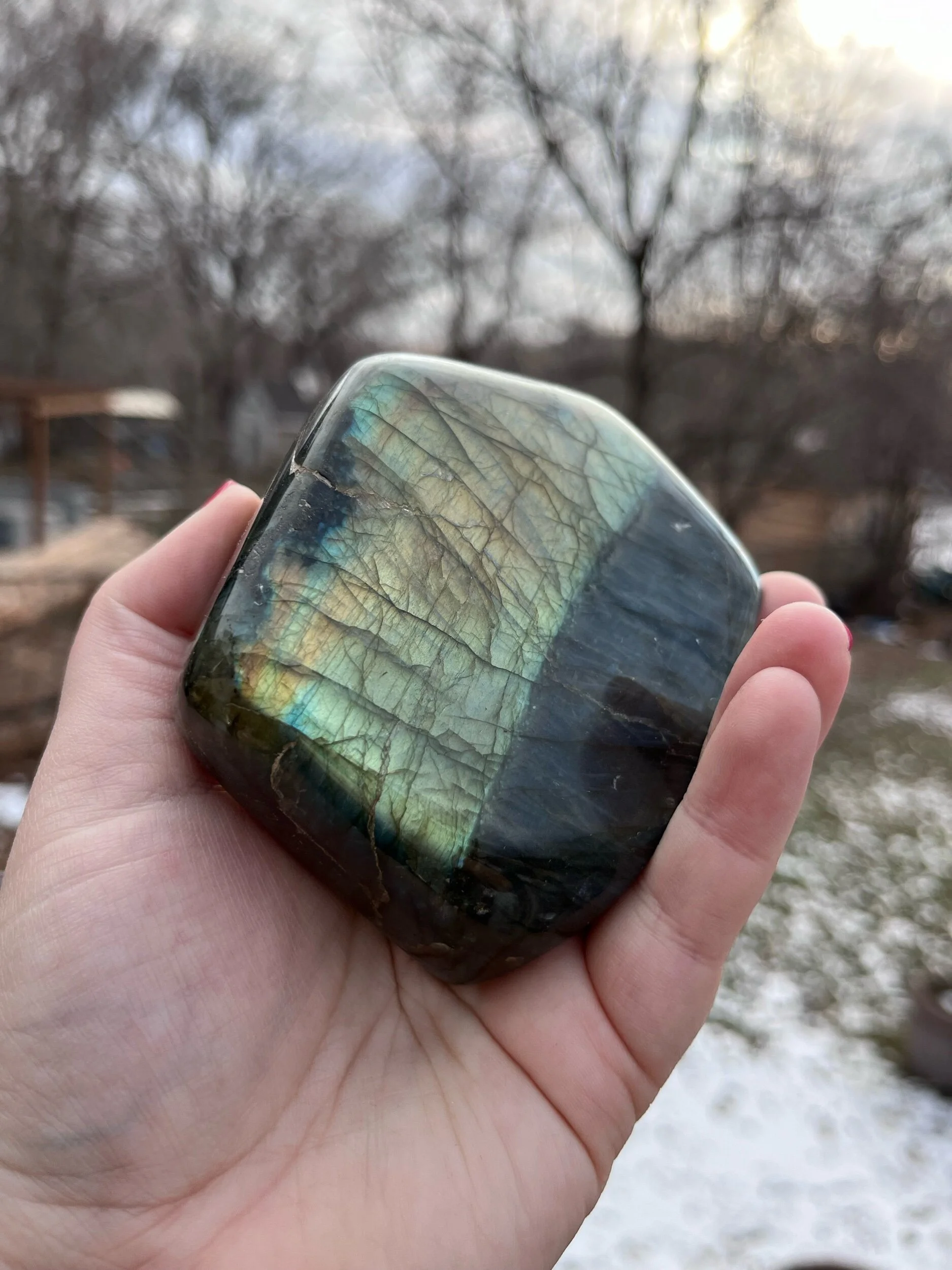 510A68F7-6F02-4AE7-A828-035E5EB436CB