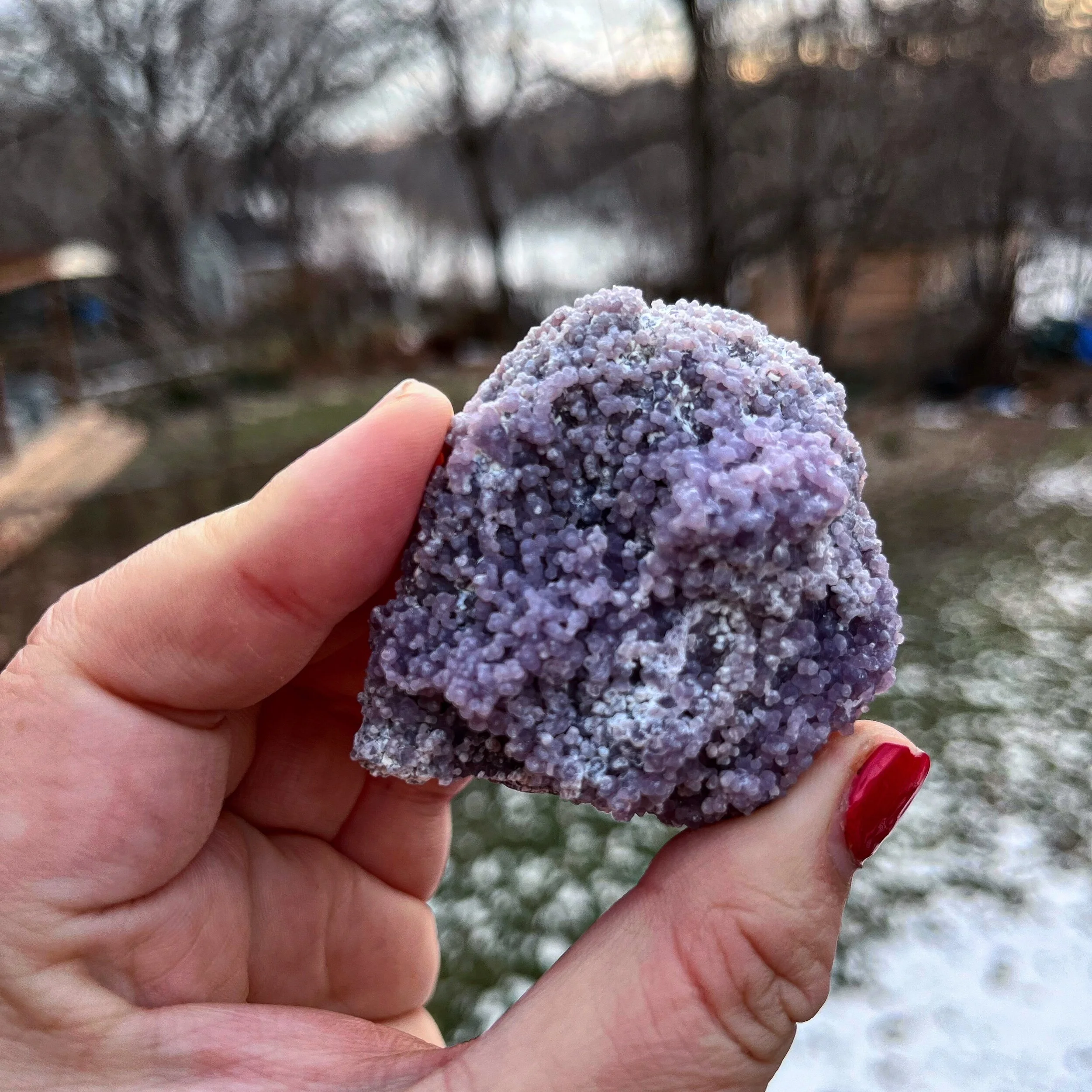 5DC35A29-8B7A-4705-A1FE-B9999FE0A353