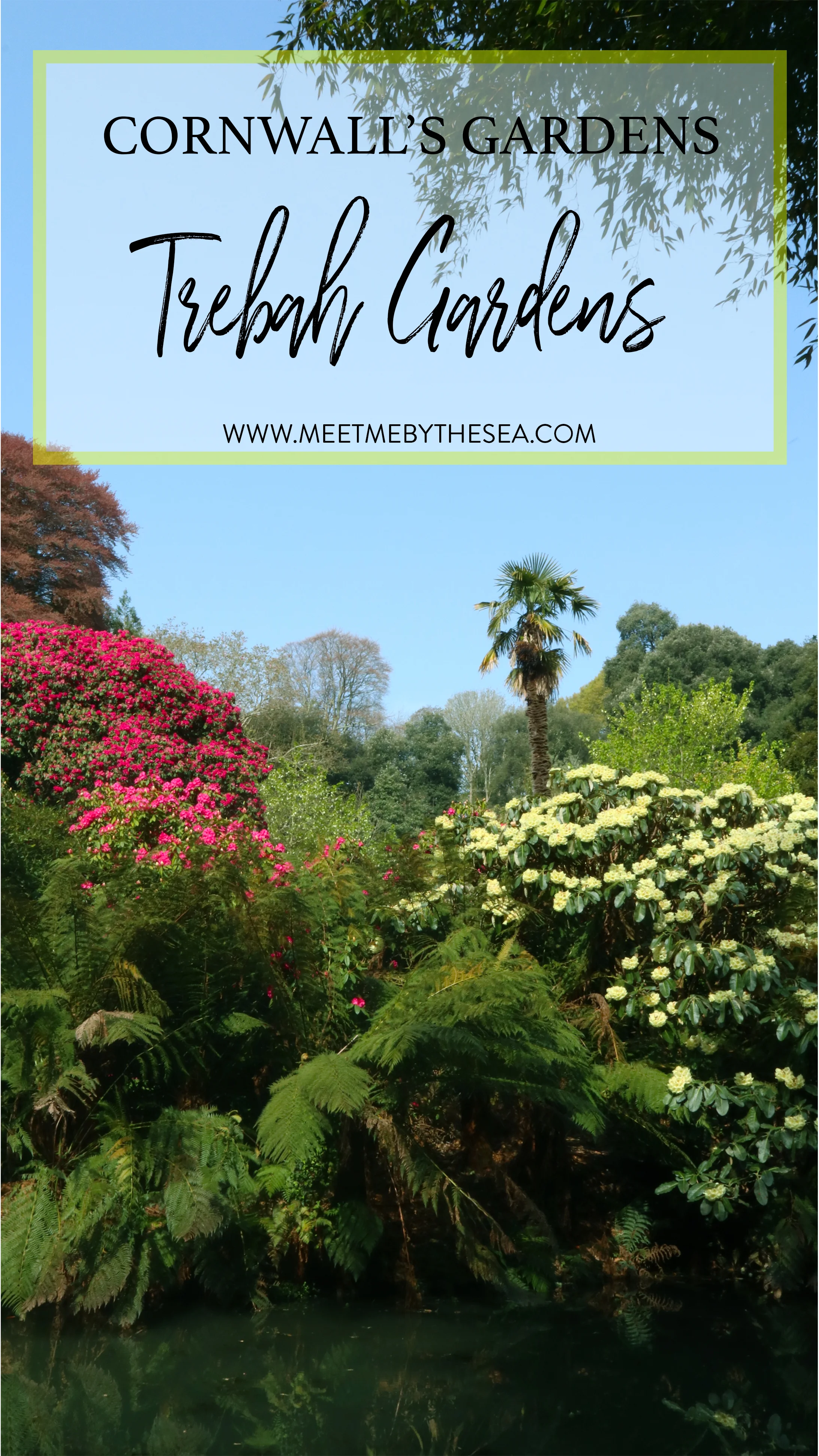 Trebah Gardens.jpg