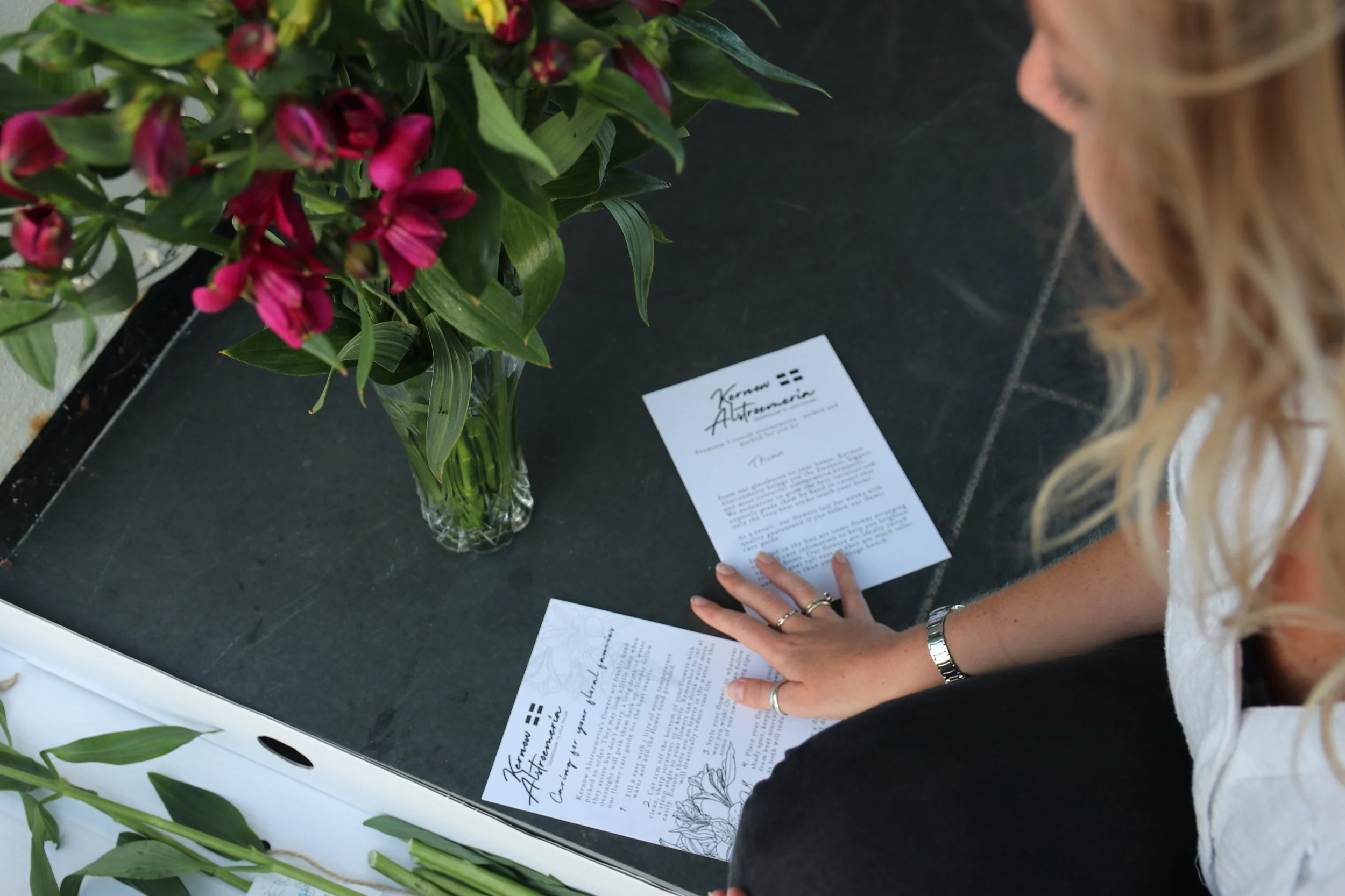 Kernow Alstroemeria: Premium Cornish Flowers