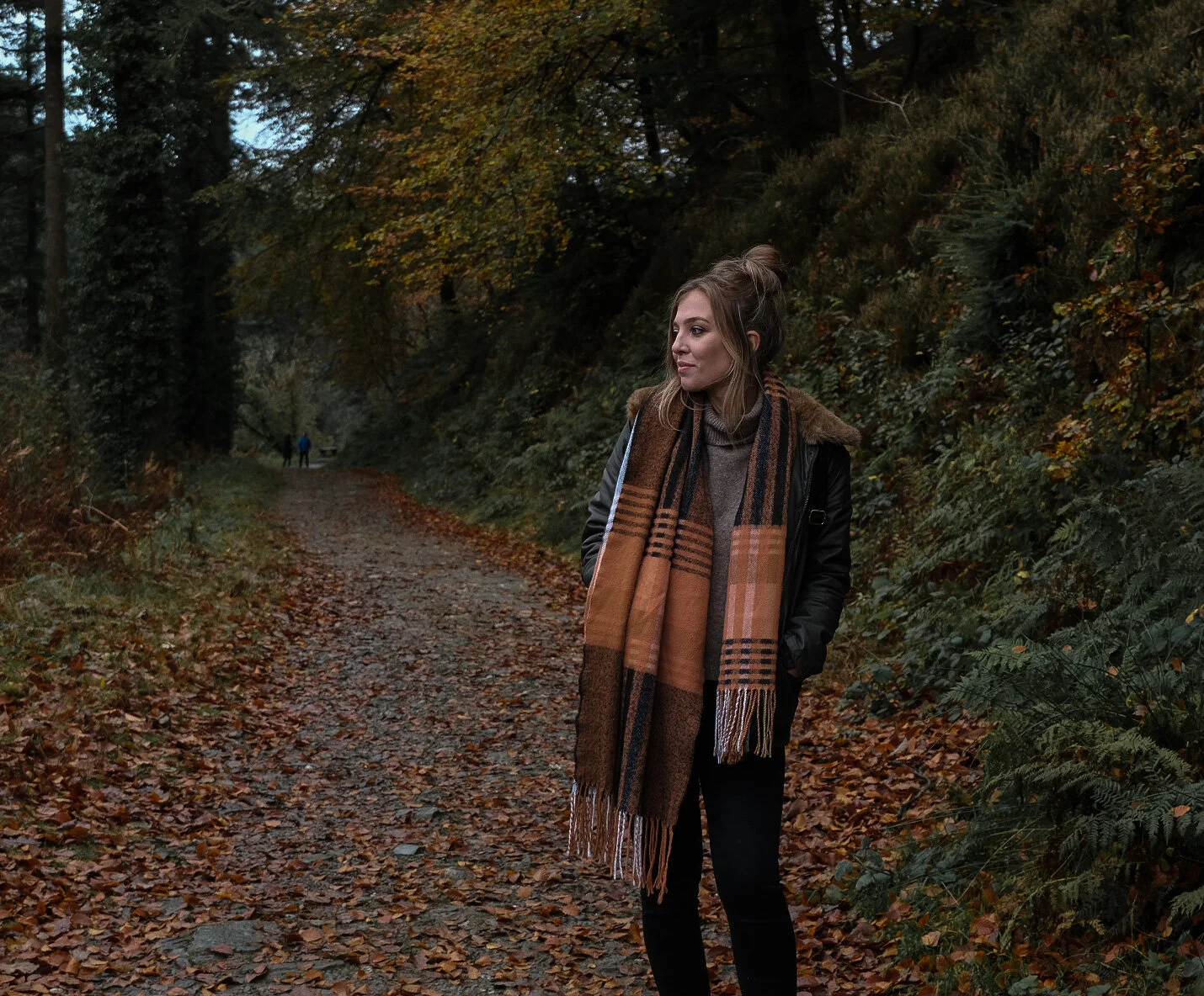 Cardinham Woods: Into the Darkness