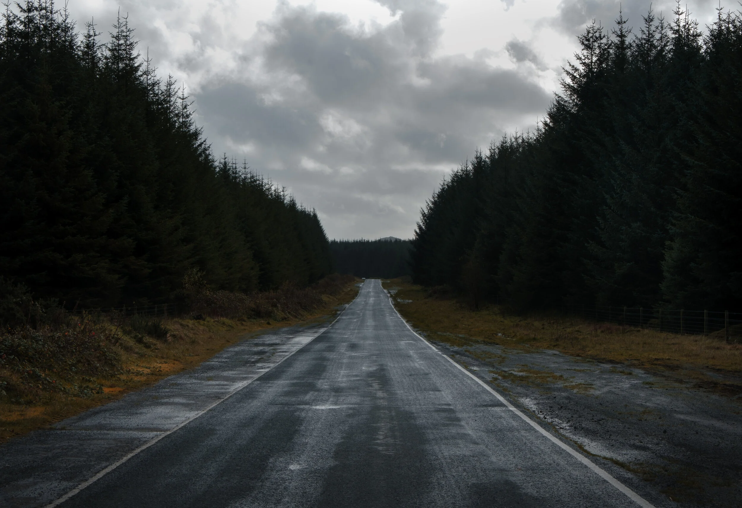 Exploring Davidstow: Forest and Abandoned Airbase