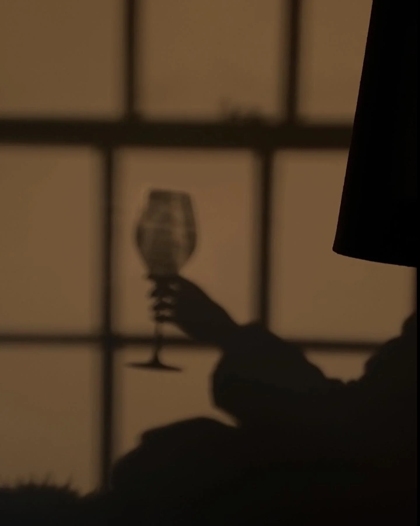 January Favourites &amp; Life Update