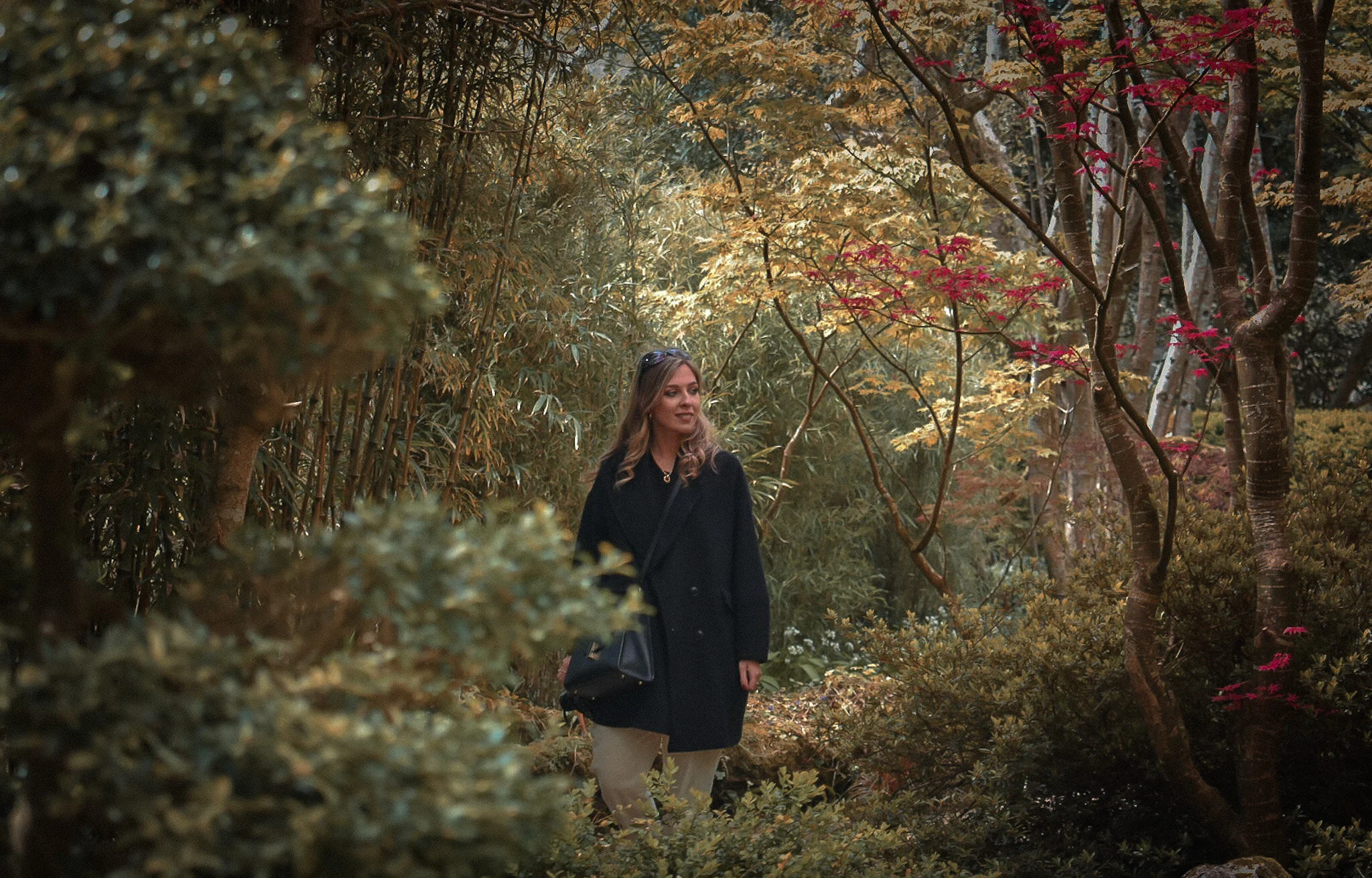 The Japanese Garden: Gardens in Cornwall (Photo Diary)