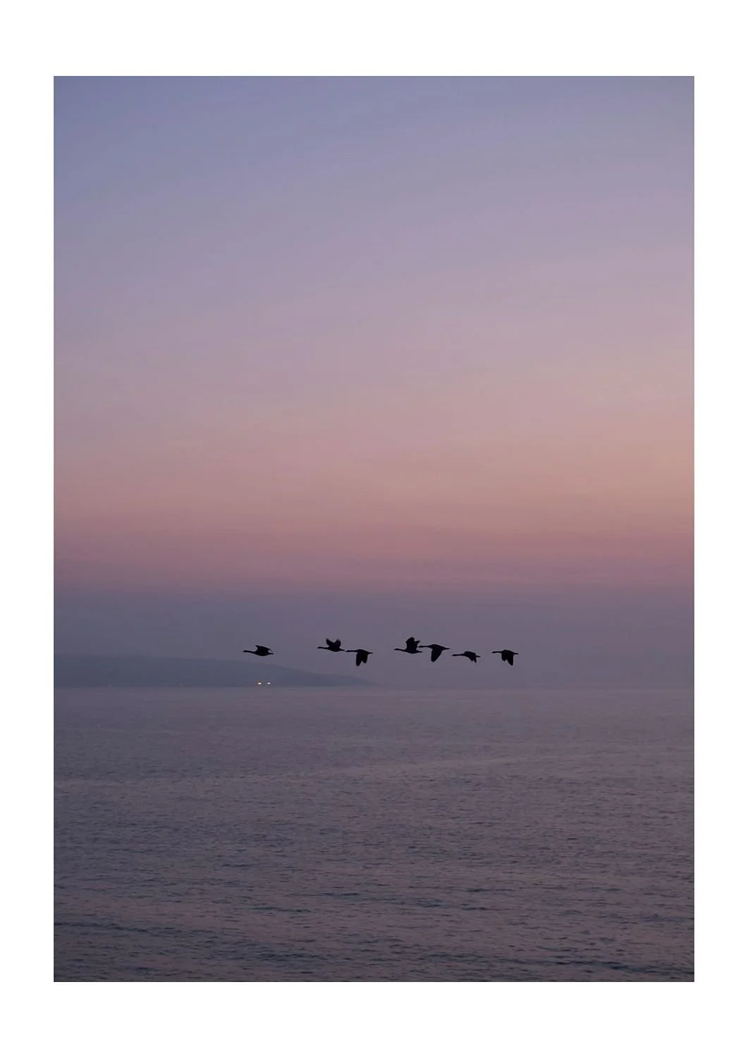 preview_f593a647_47f1be55.jpg