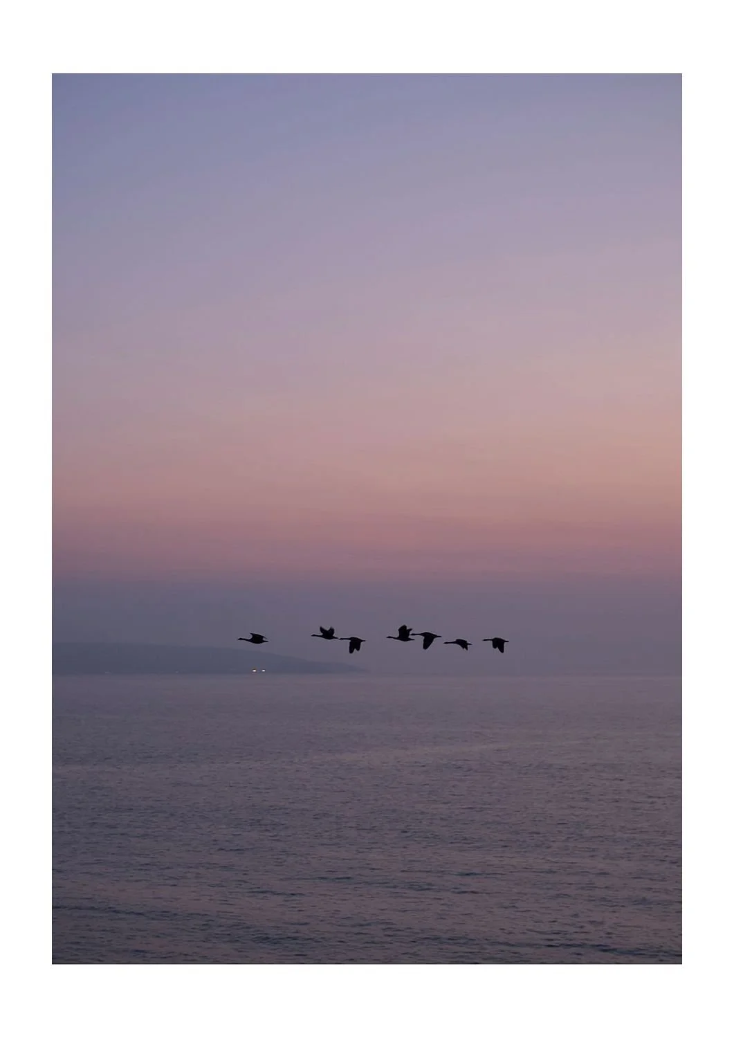 preview_4164bb3a_9adbacaa.jpg