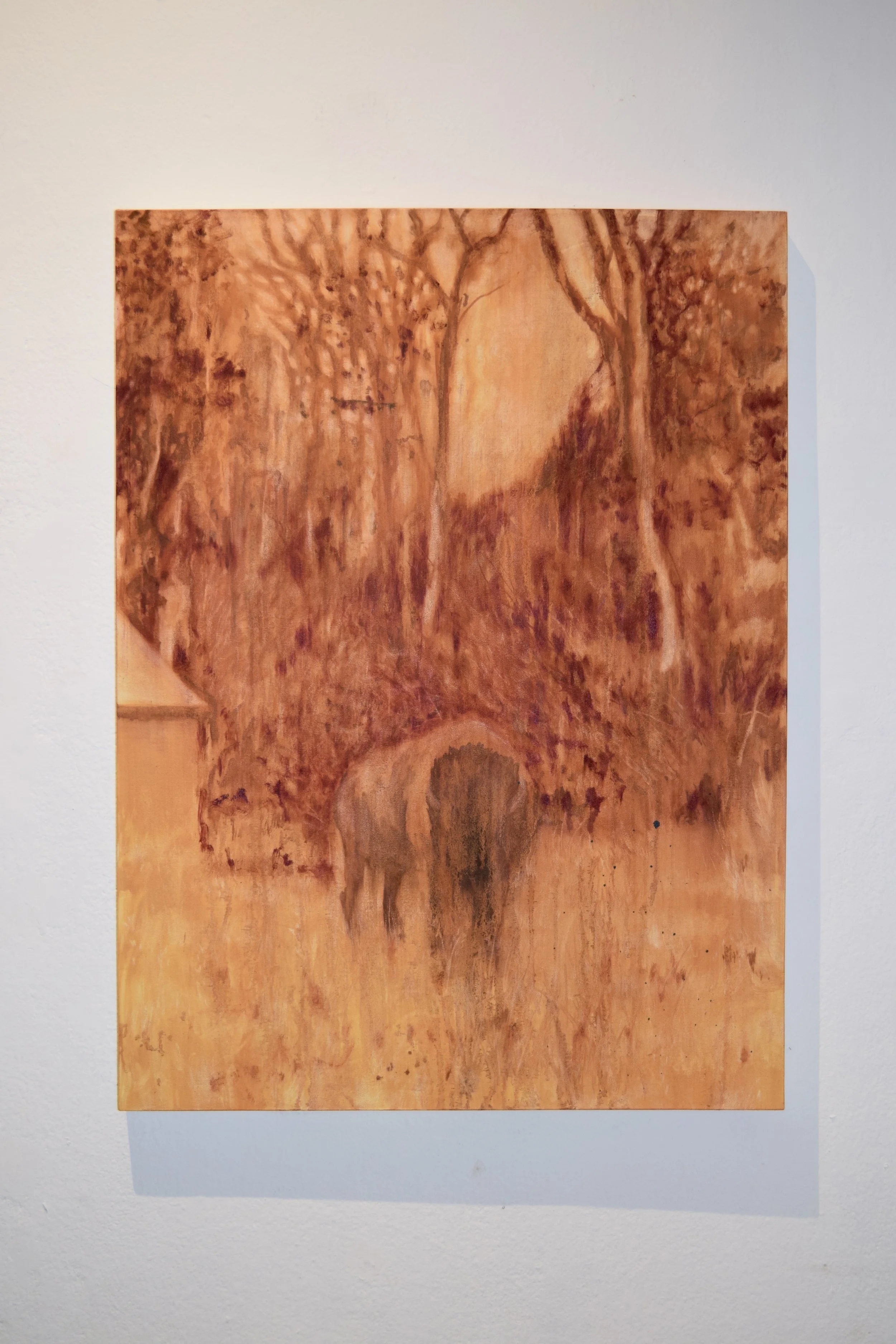 The Vanishing American 