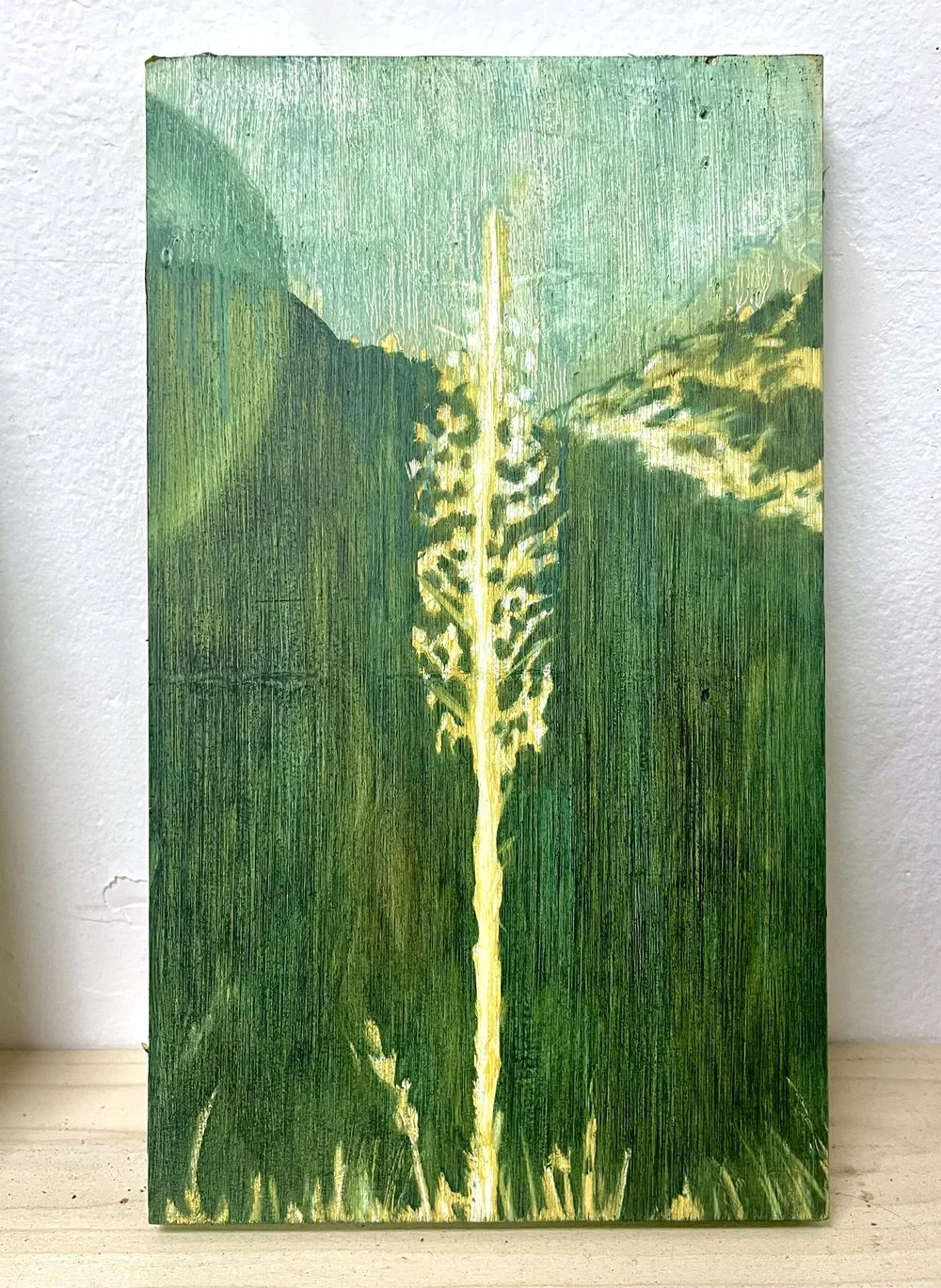 Chaparral Yucca 🔴 SOLD