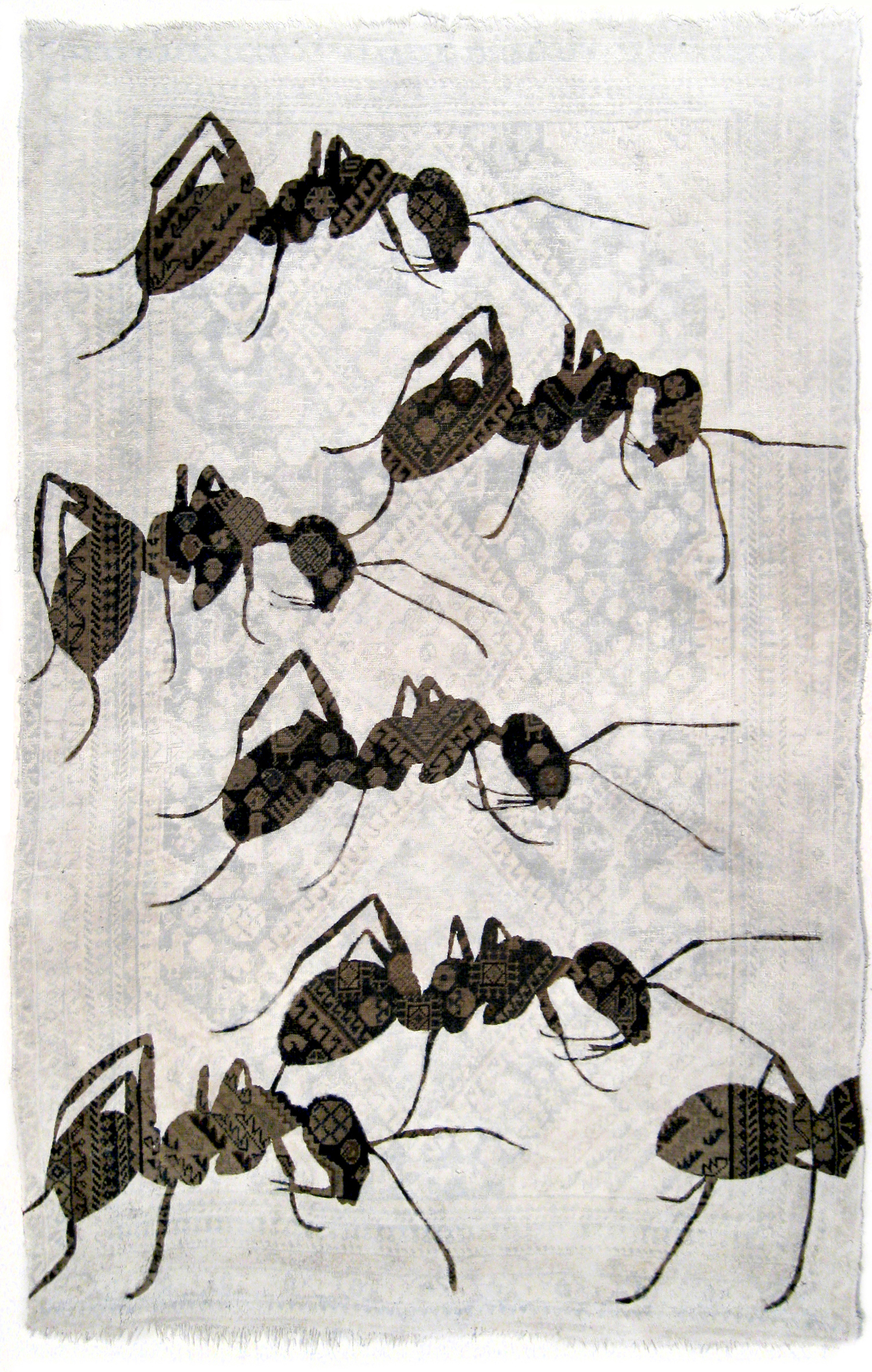 ANTS, by Noémi Kiss