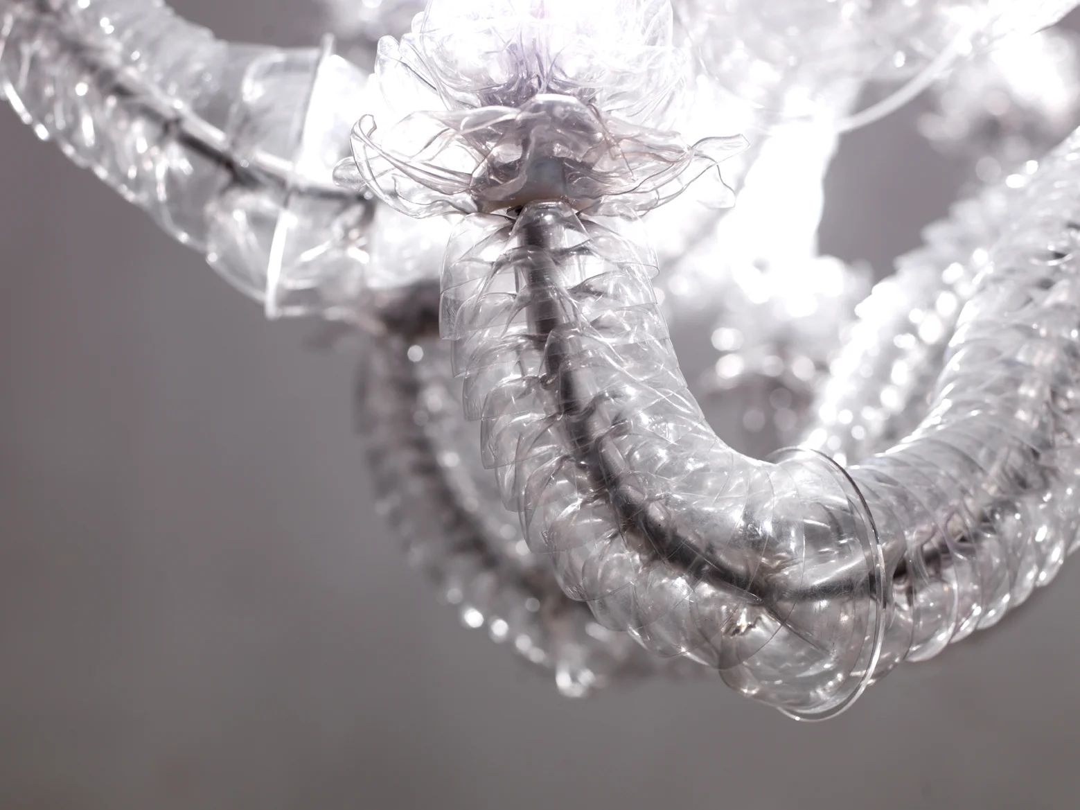 web222-marion-friedmann-gallery-thierry-jeannot-transmutation1-chandelier-detail.jpg