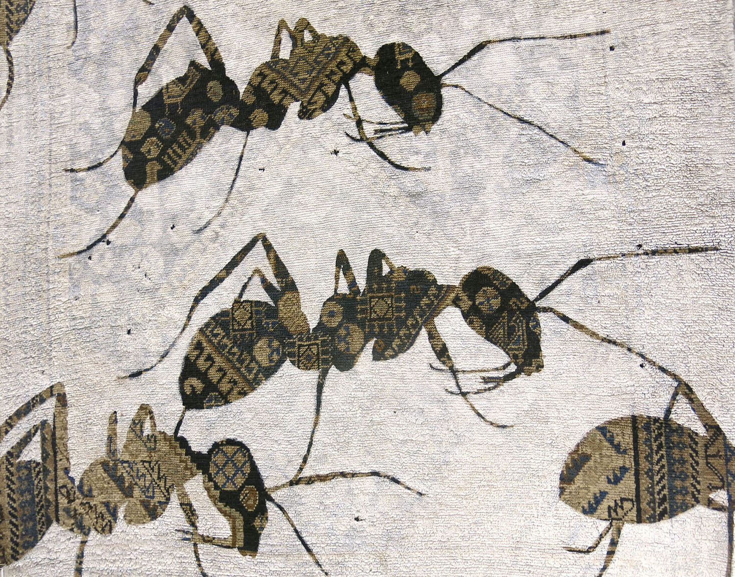 web-Ants-detail_cut-lr.jpg