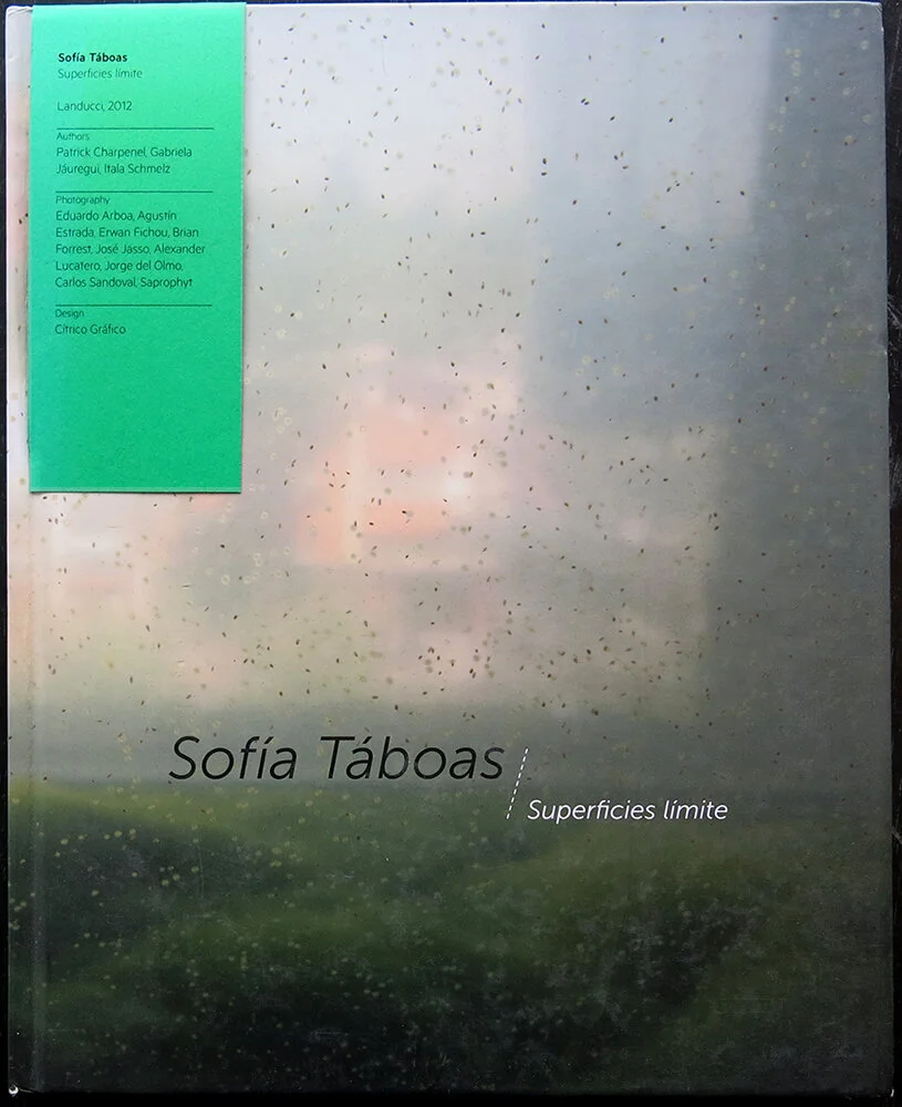 IMG_3999-sofia-taboas-superficies-limite-2012.jpg