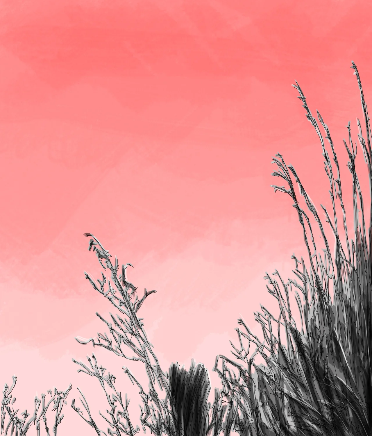 Shogun Assassin Background.jpg