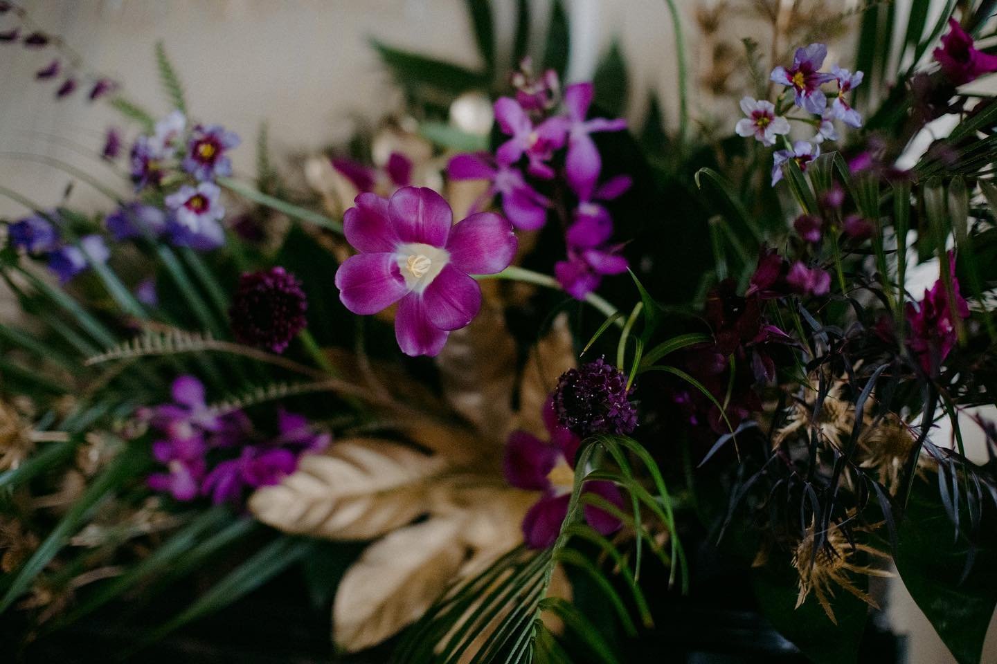 Mardi Gras ~ Feb. 2024 

Location: private pied-&agrave;-terre, French quarter 
Photography: @sharon_pye_thomas 
Interior Design: @marthapearsondesigns 

The shine of the varnished wood floors, glow of the chandelier and chrome of the flanking sidebo