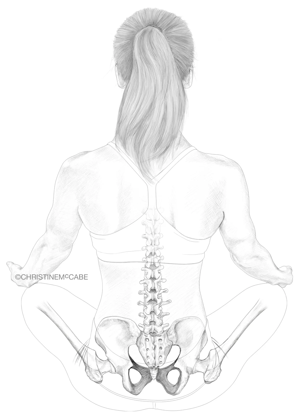 Anatomy of a Yogi - Sitz.jpg