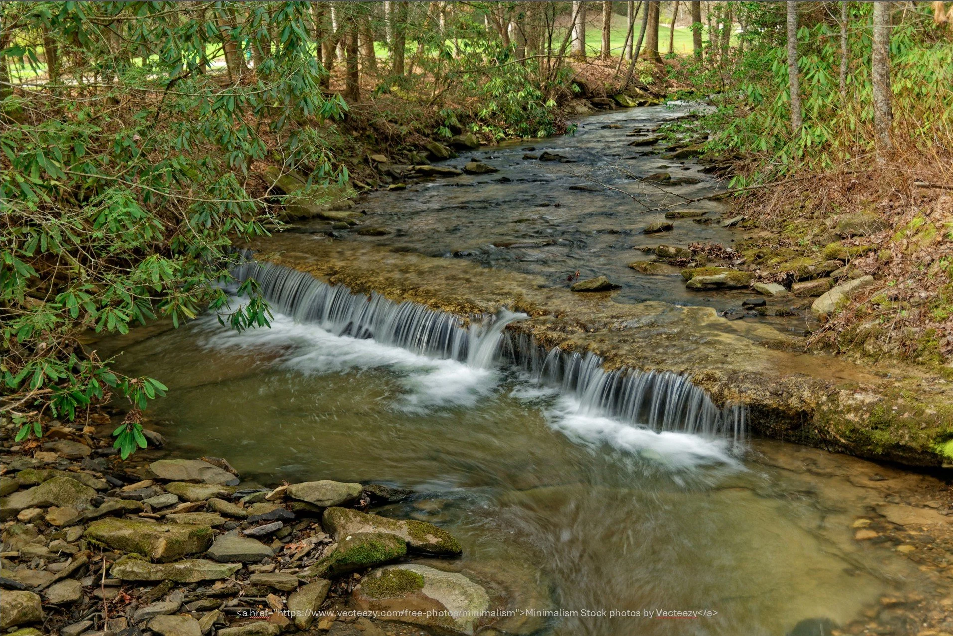 Coldwater Creek.jpg