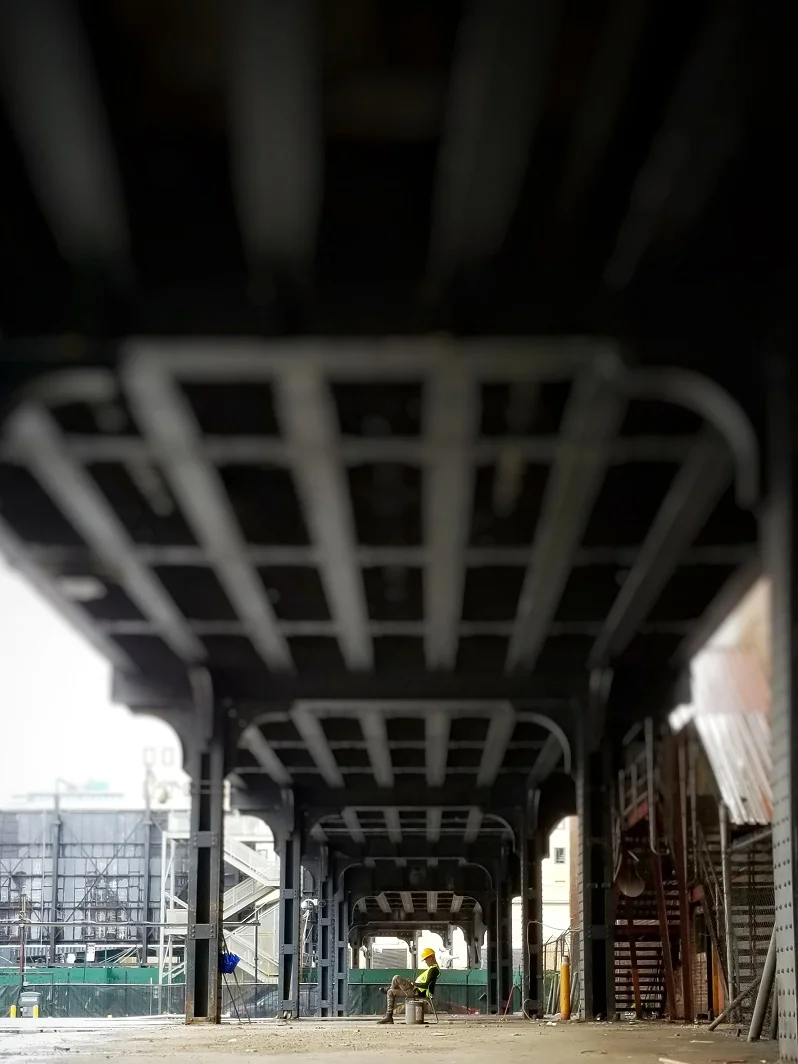 10 - SD - untitled.jpeg