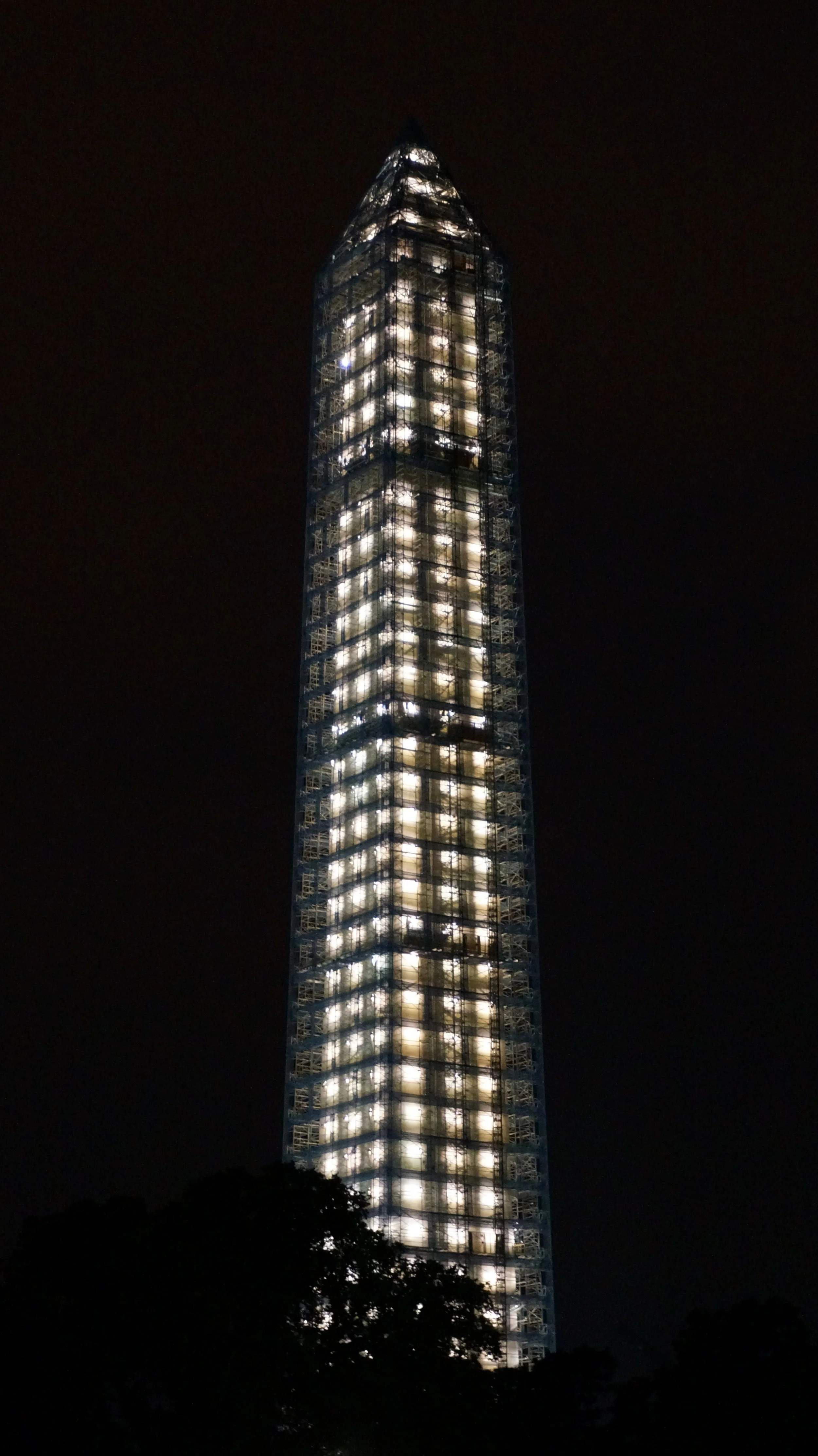 59451176274.jpg