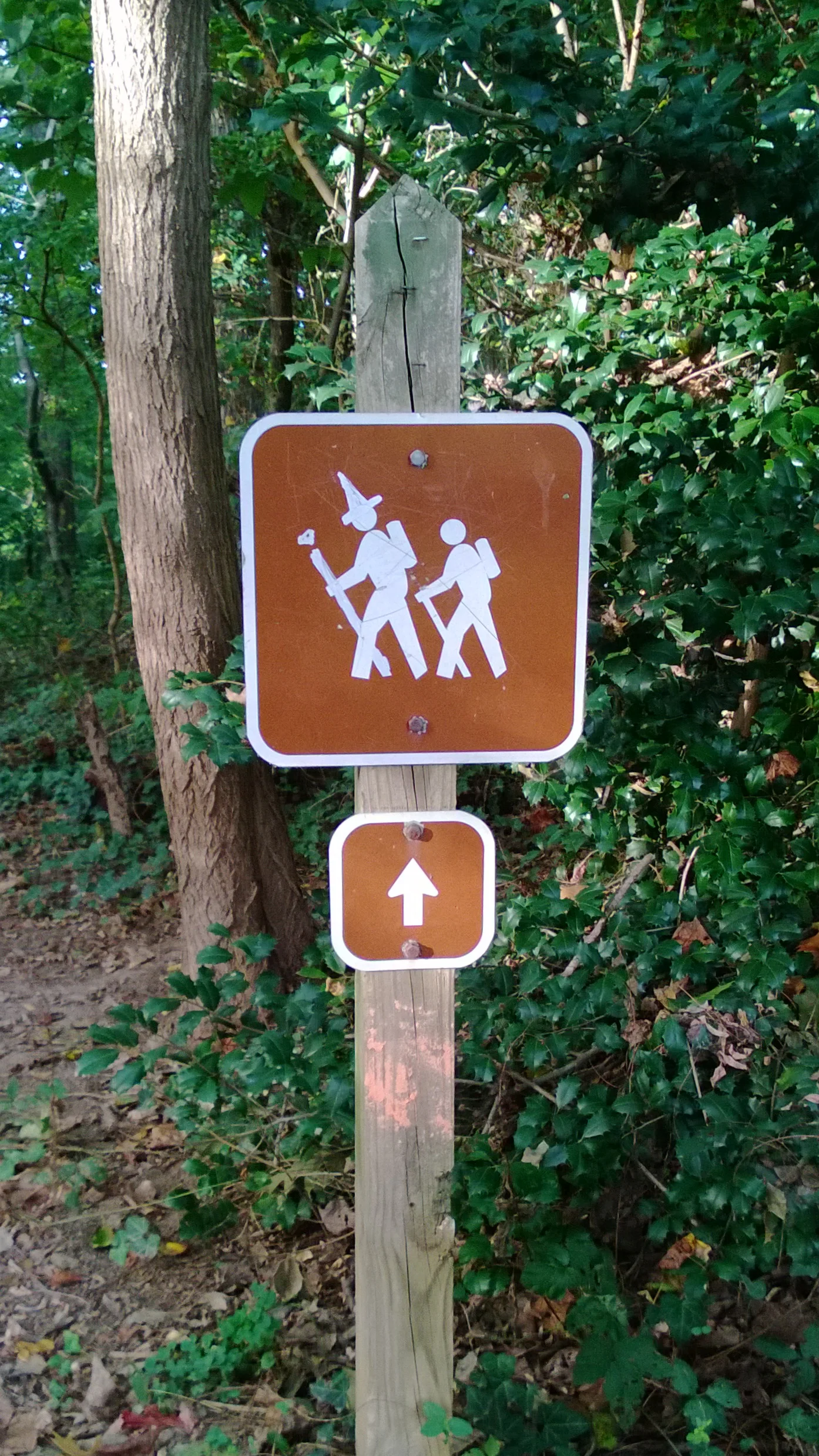62273352318.jpg
