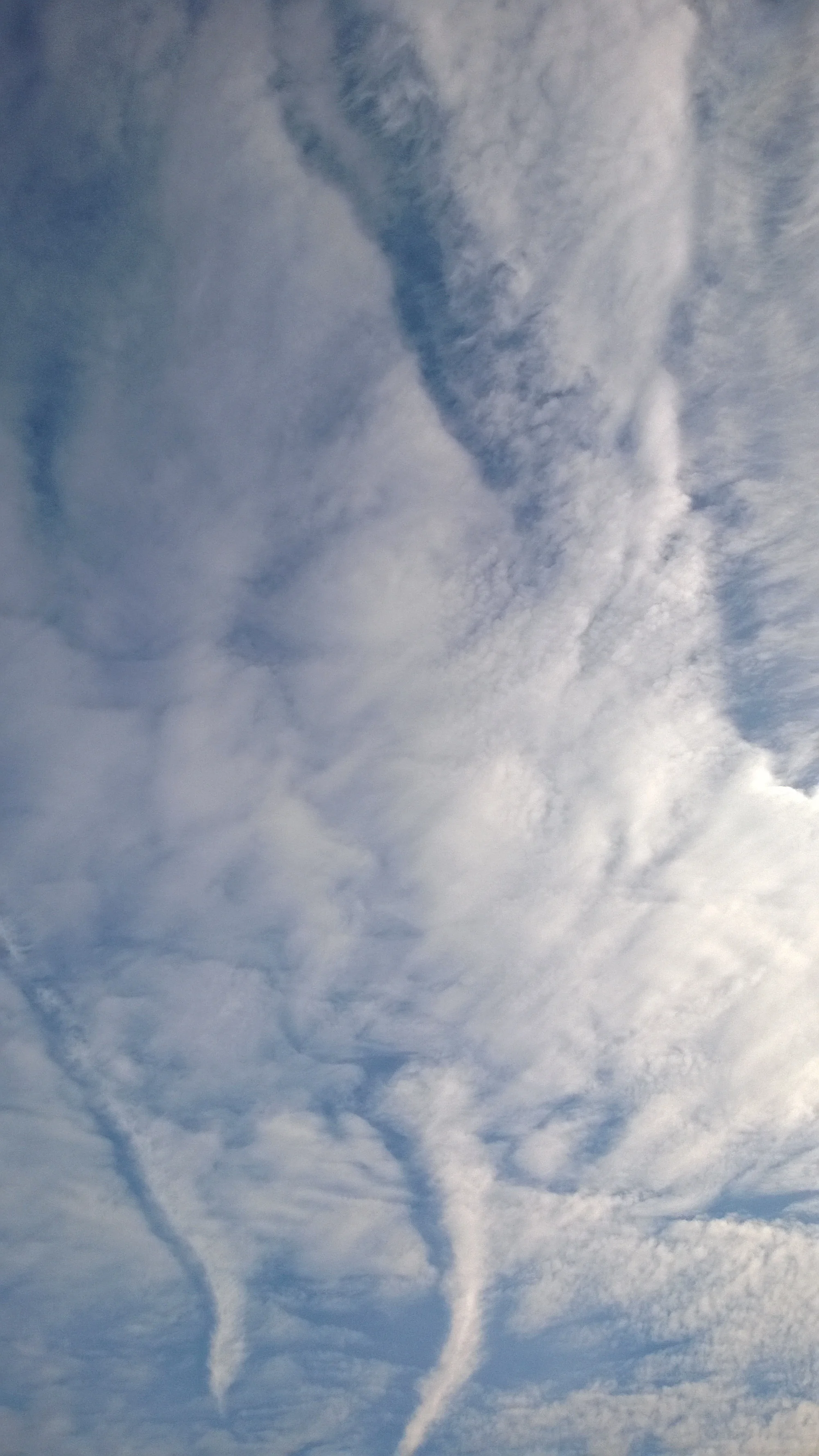 70946792255.jpg