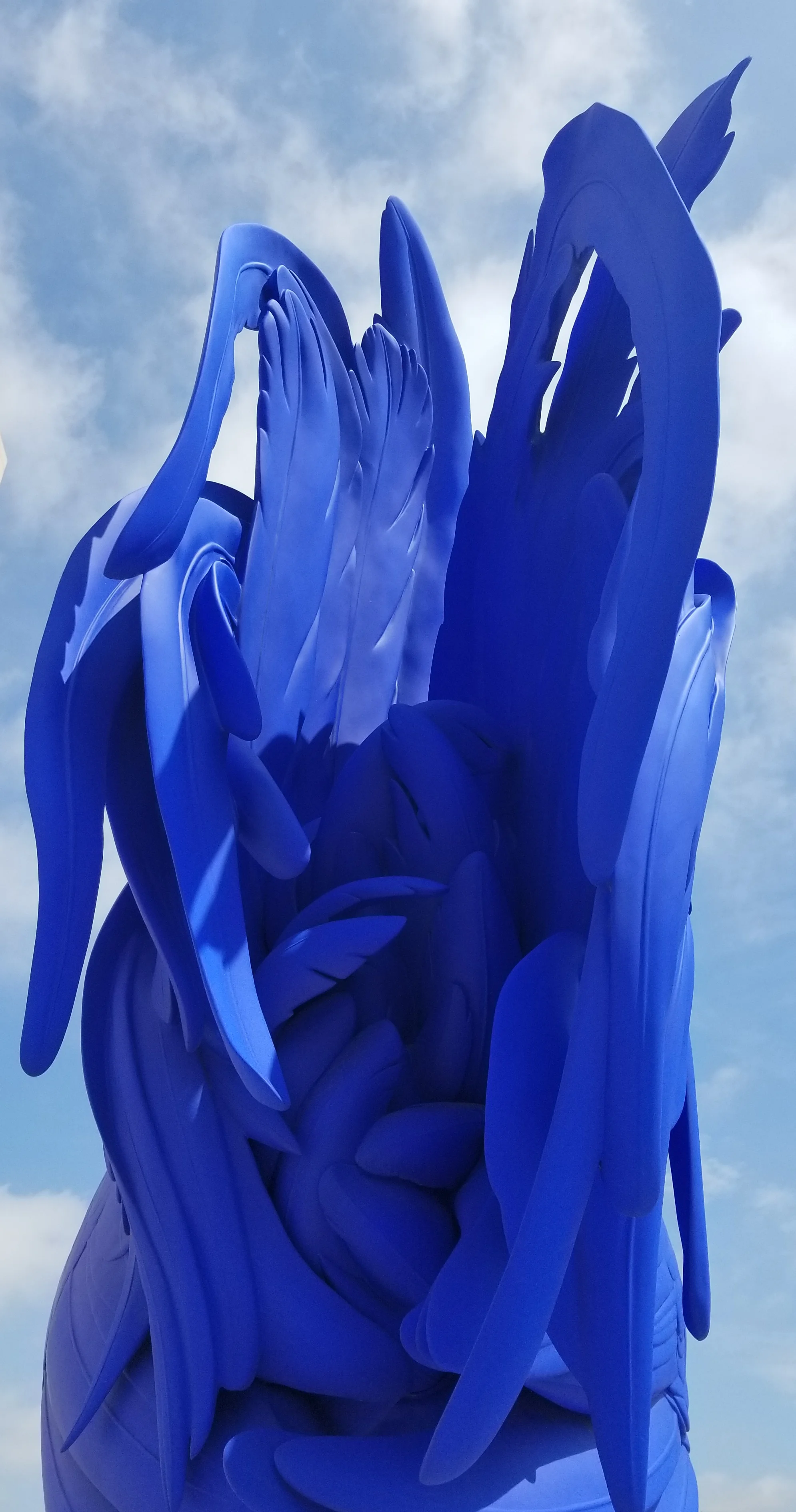 164442948535.jpg