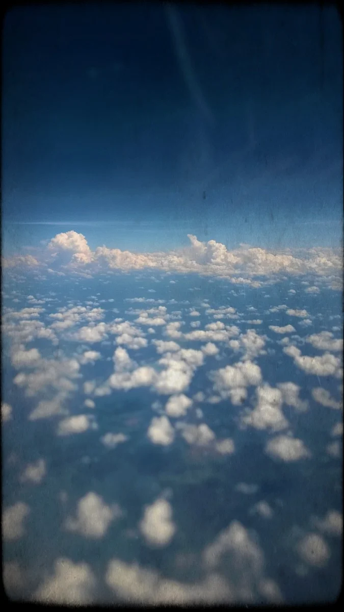90651238065.jpg