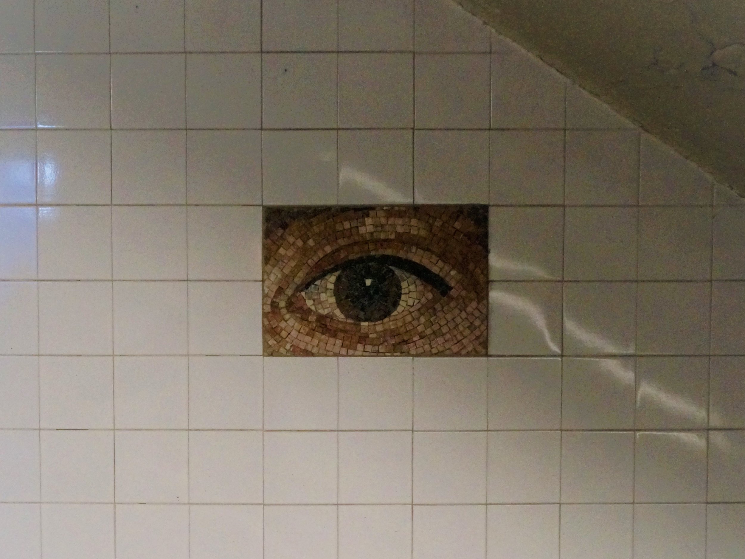 117512137025.jpg