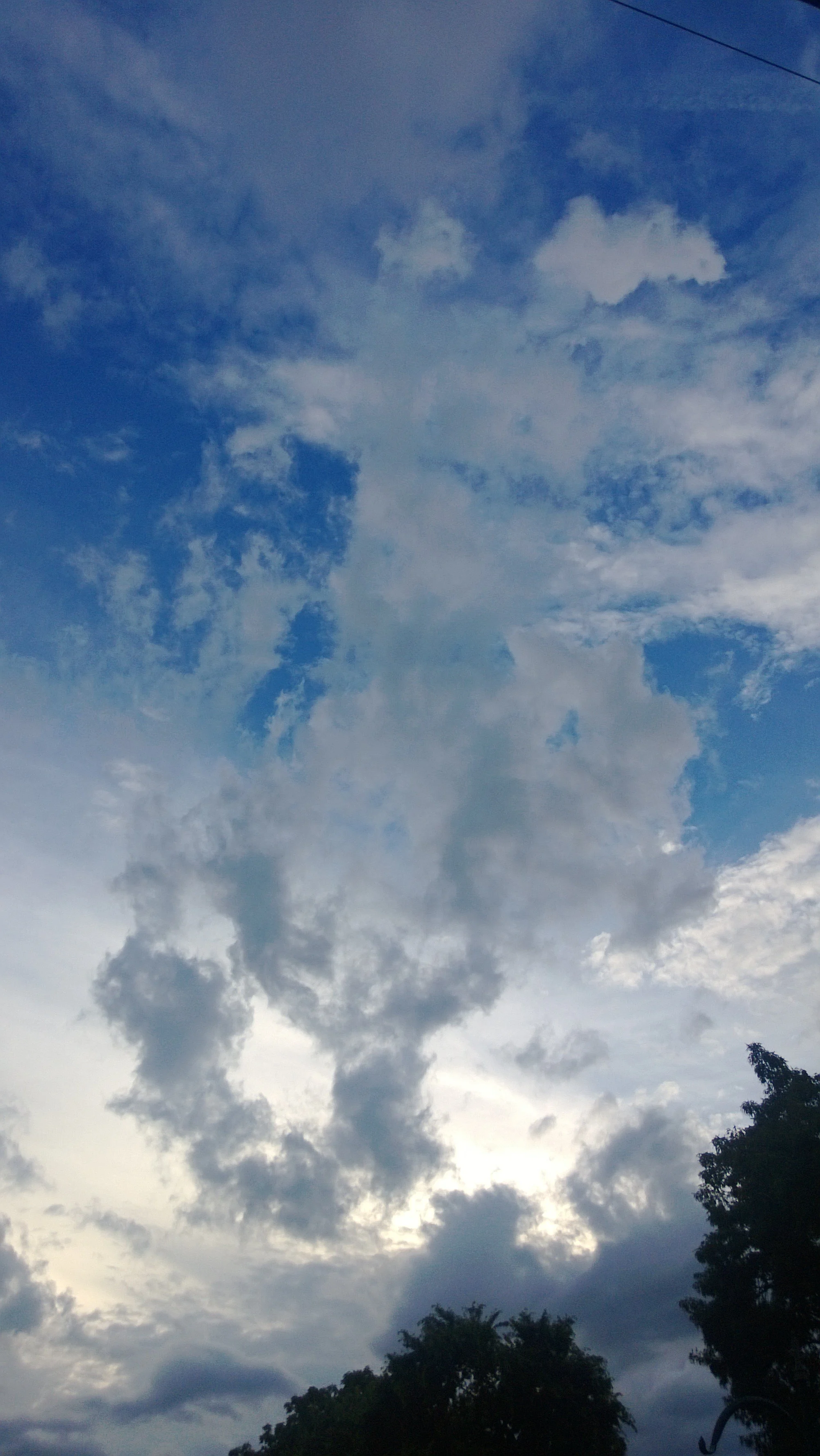 118784972540.jpg