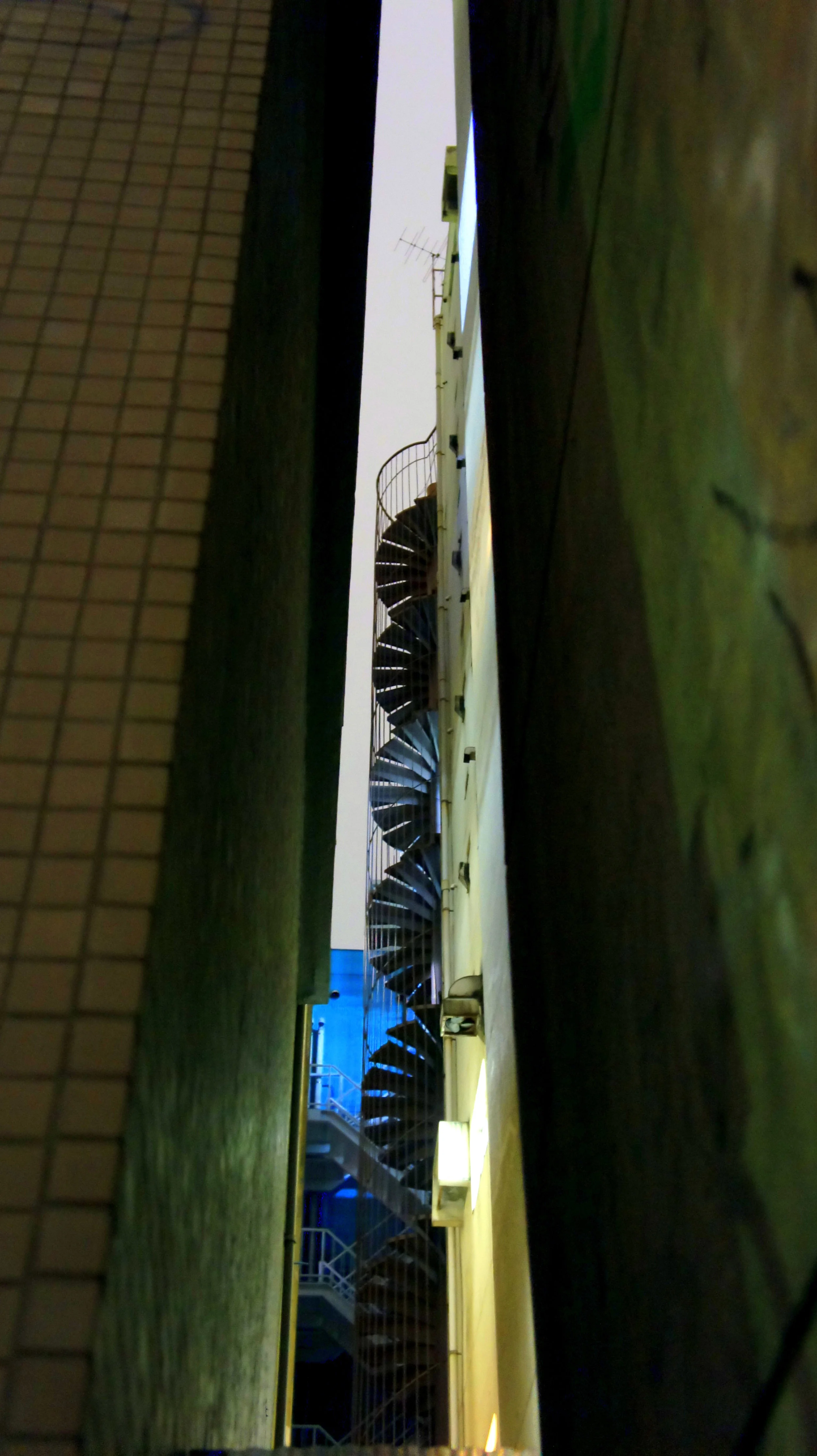 DSC00308.JPG