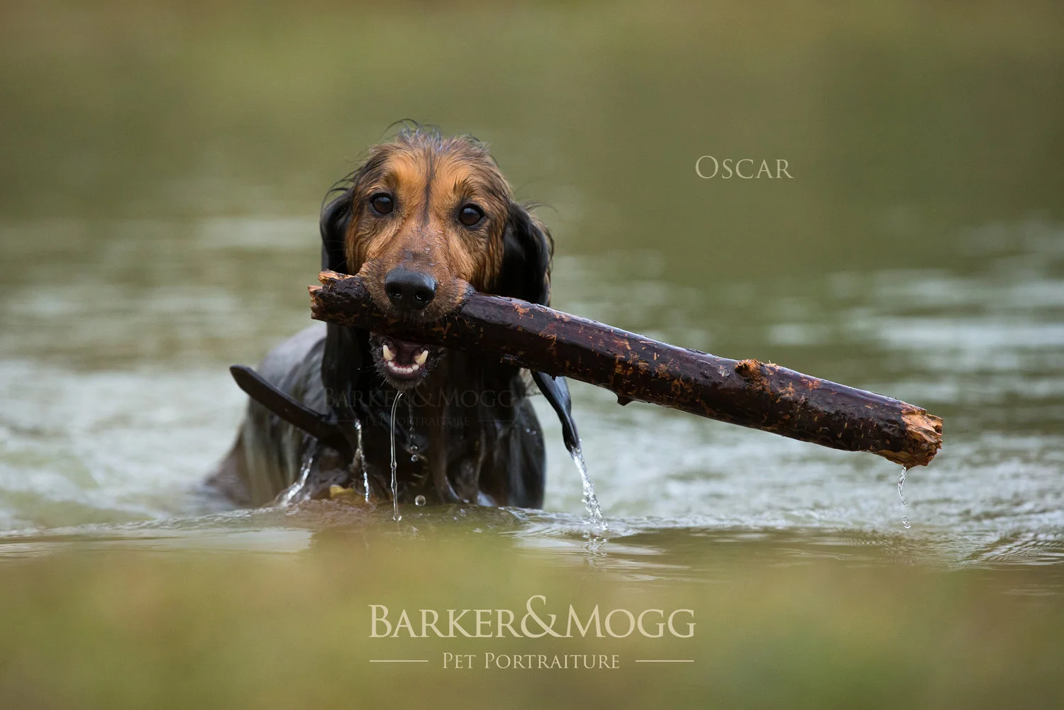 Oscar12_Web.jpg