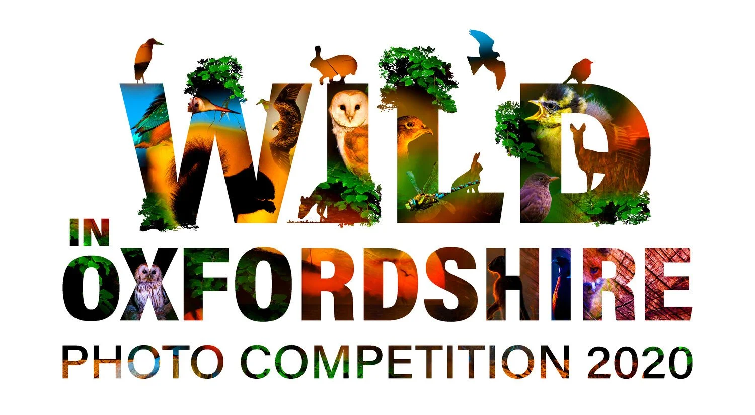 WildInOxfordshire_Logo.jpg