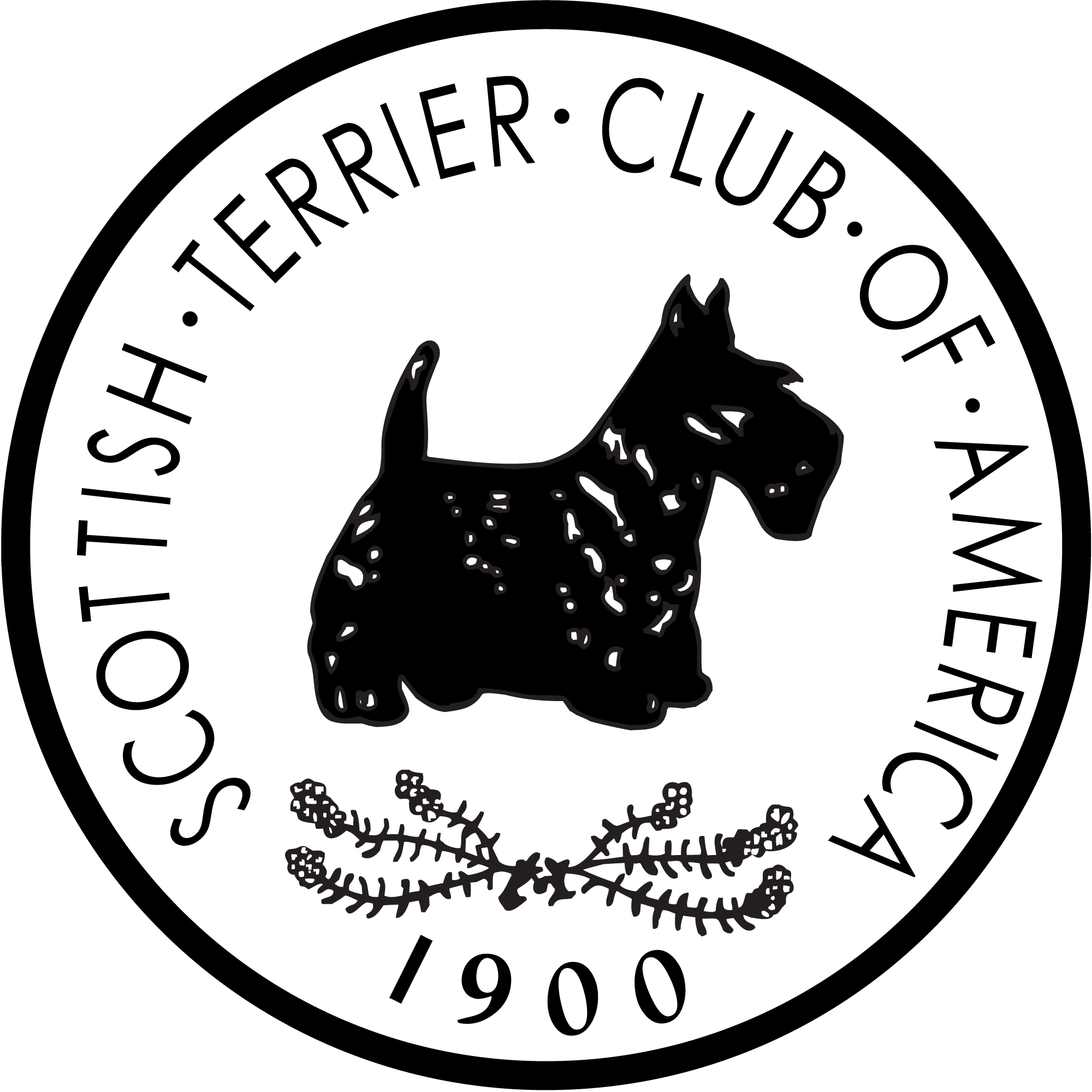 STCA-Logo-High-Quality-fixed.png