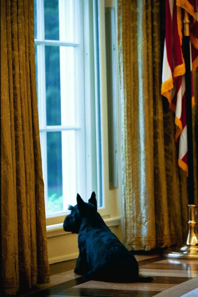 President George W. Bush’s Barney in Oval Office. April 30, 2004. Photo by Tina Hager, Courtesy of the George W. Bush Presidential Library & Museum
