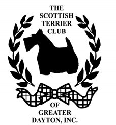 STC Greater Dayton Logo.png