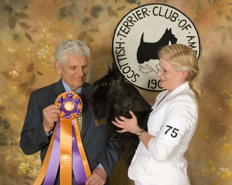 STCP Member Kari Hill is with GCHB Charthill Premiere Performance, Digger, who won the 2013 National Specialty. Digger has achieved ROMX - Register of Merit Excellence - for siring more than 15 champions.