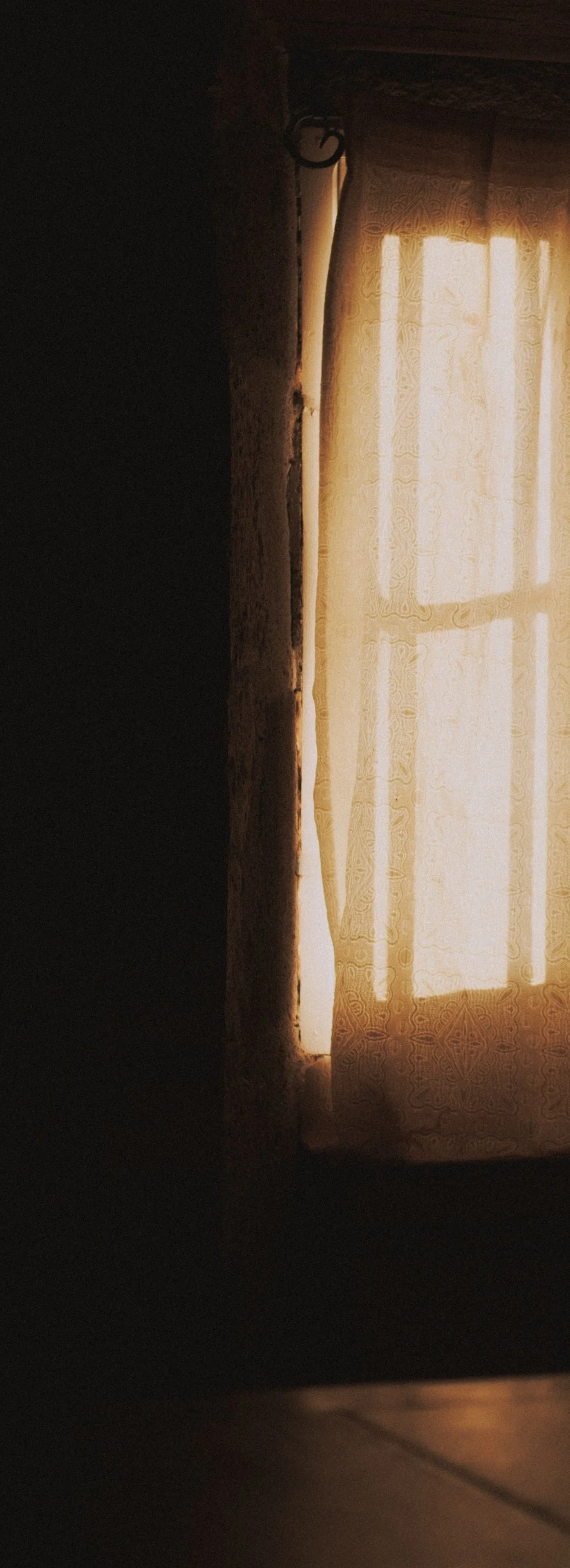 mat-reding-tIuNwizJzMM-unsplash.jpg