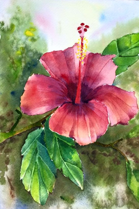 Tenerife Hibiscus