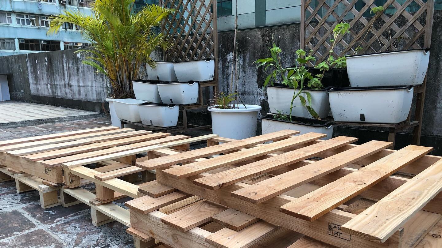 In making of allotment 🌱 at our first Commune in sai ying pun #throwback Thu
