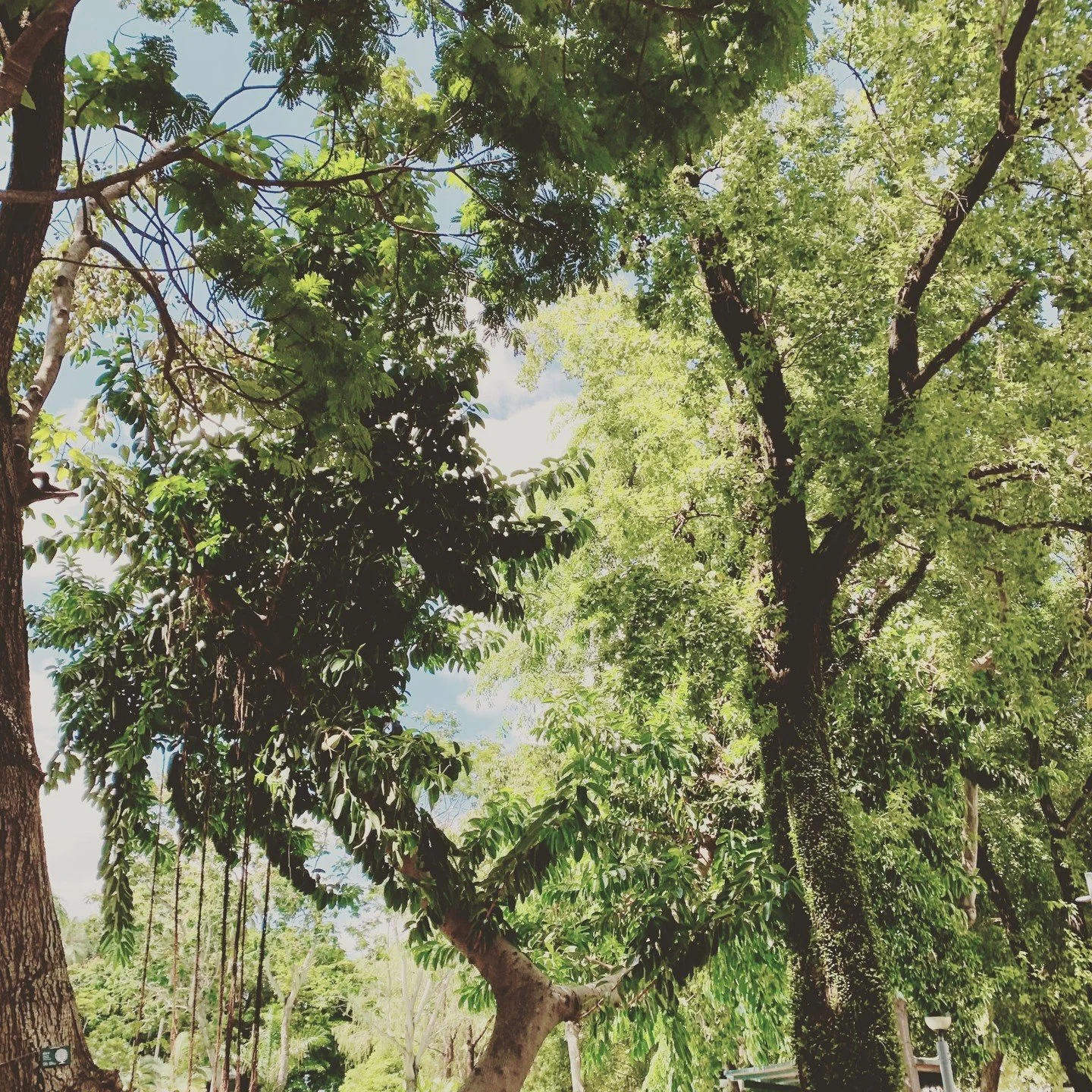 Tin hau Victoria park commune available now ! Another lovely coliving community situated right at the corner of Vicky park 🌳 Click to link 🔗 in the bio for to learn more about this new home 🏡