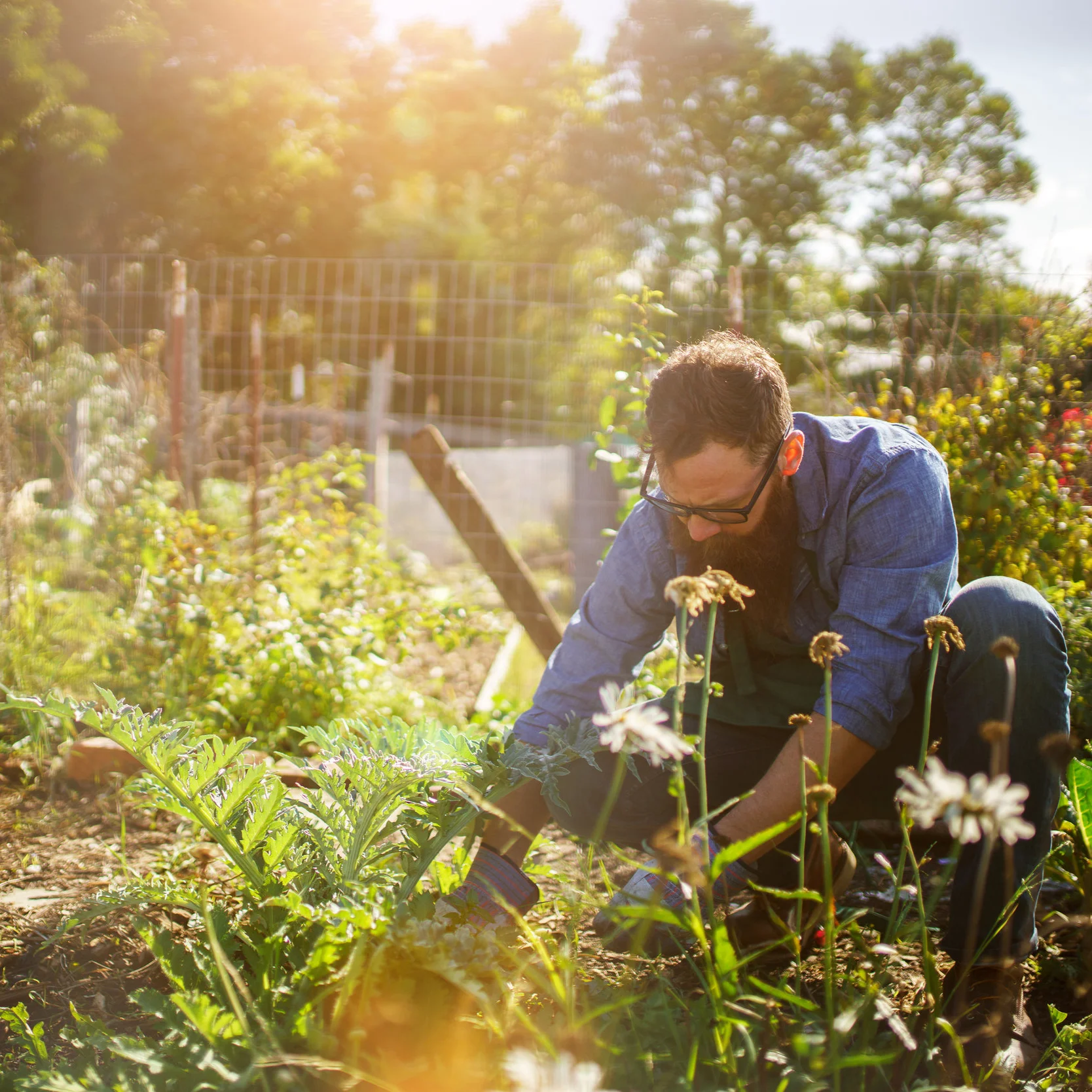 man+planting.jpg