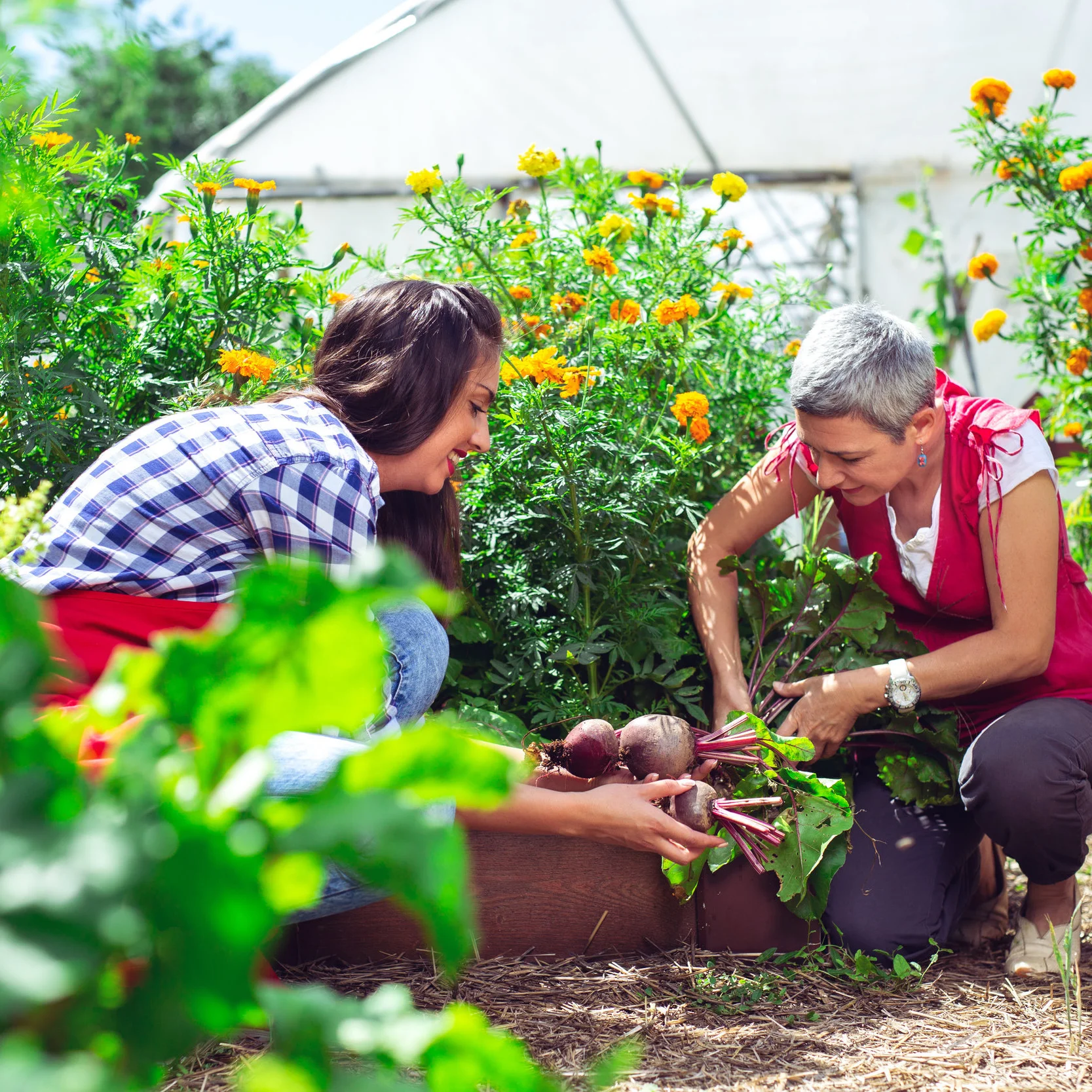 women+working+together.jpg